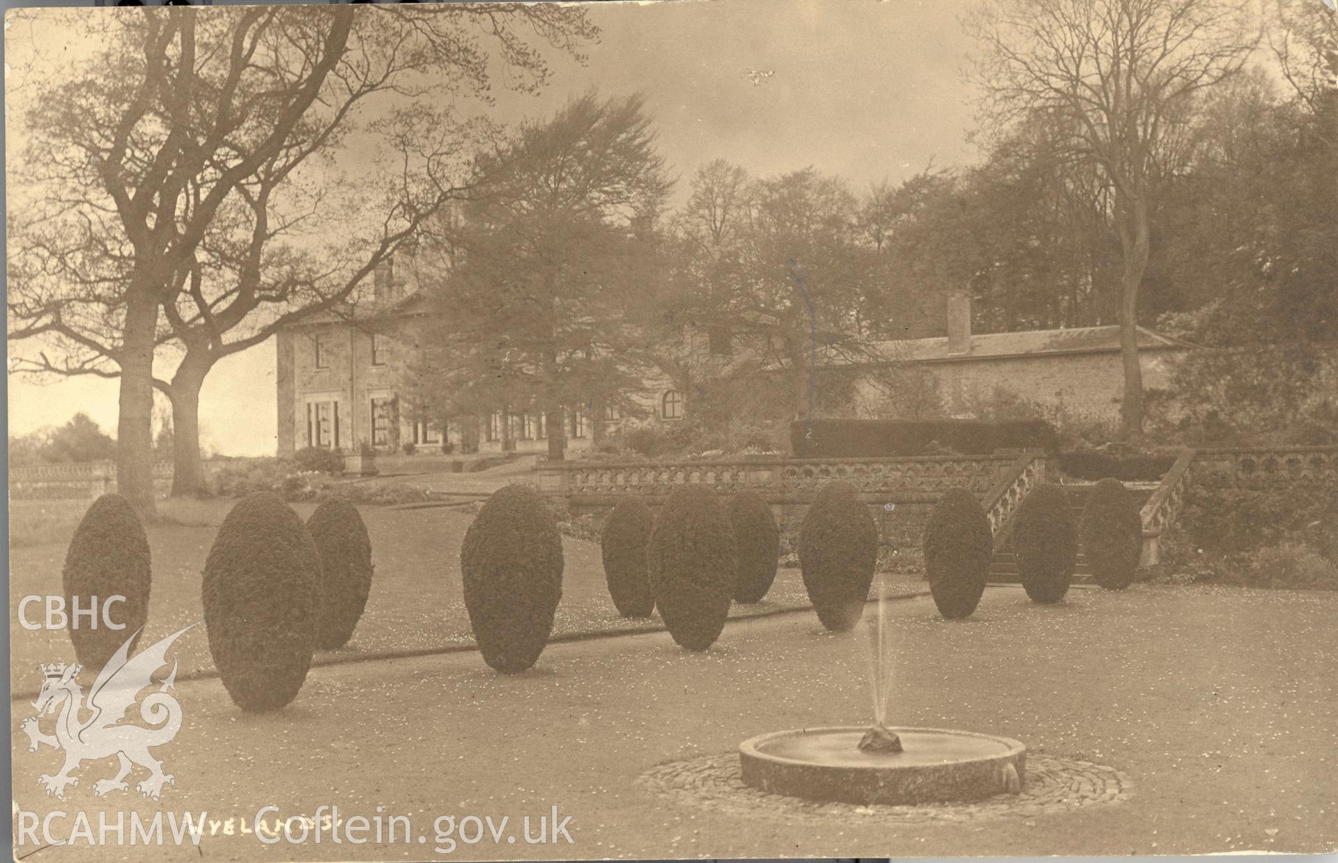 Digitised postcard image of Wylands garden, Chepstow, W.A. Call, the County Studio, Monmouth. Produced by Parks and Gardens Data Services, from an original item in the Peter Davis Collection at Parks and Gardens UK. We hold only web-resolution images of this collection, suitable for viewing on screen and for research purposes only. We do not hold the original images, or publication quality scans.