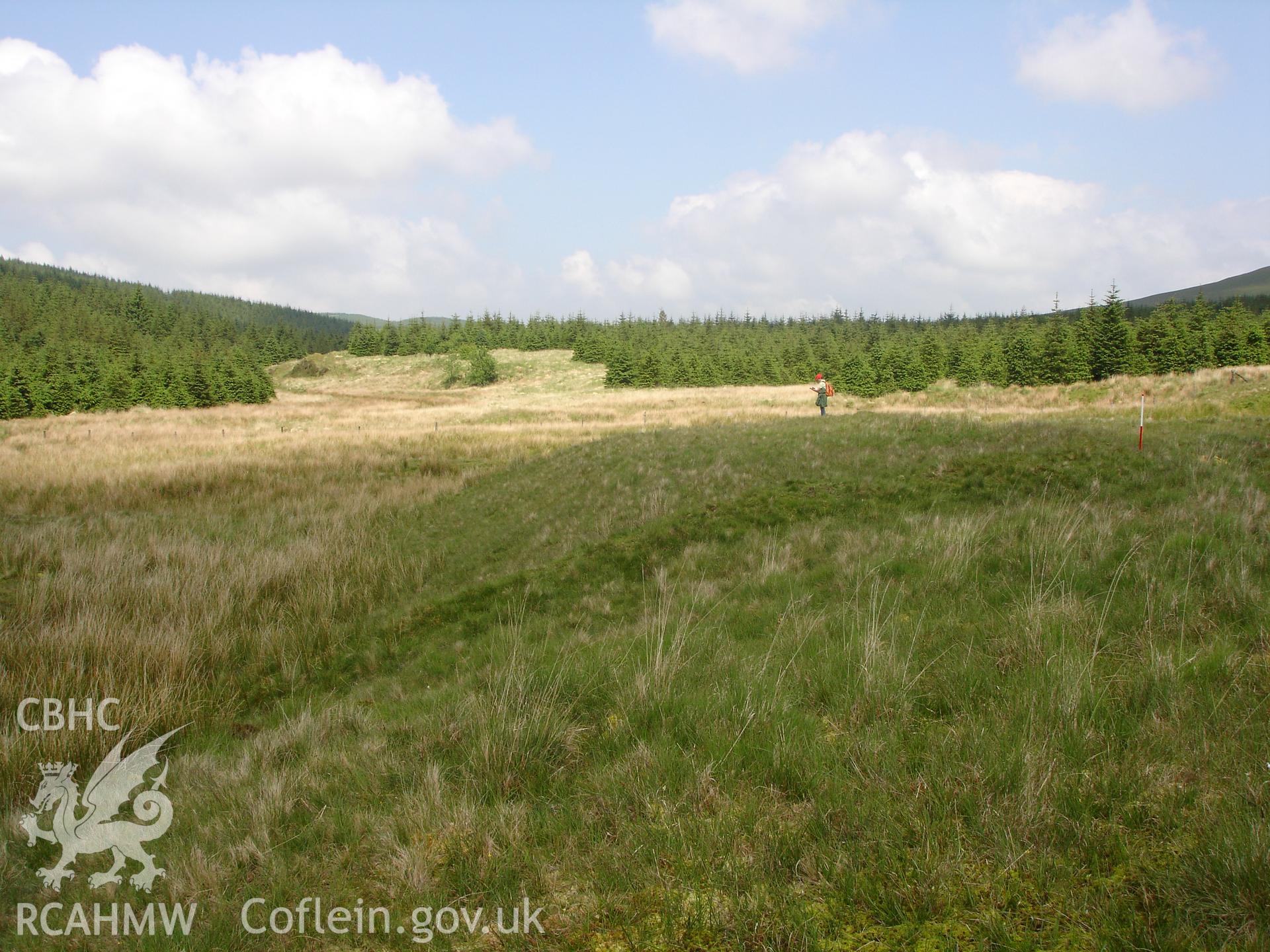 Photograph of LLuest Fawr Bank taken on 11/06/2005 by R.P. Sambrook during an Upland Survey undertaken by Trysor Archaeology.