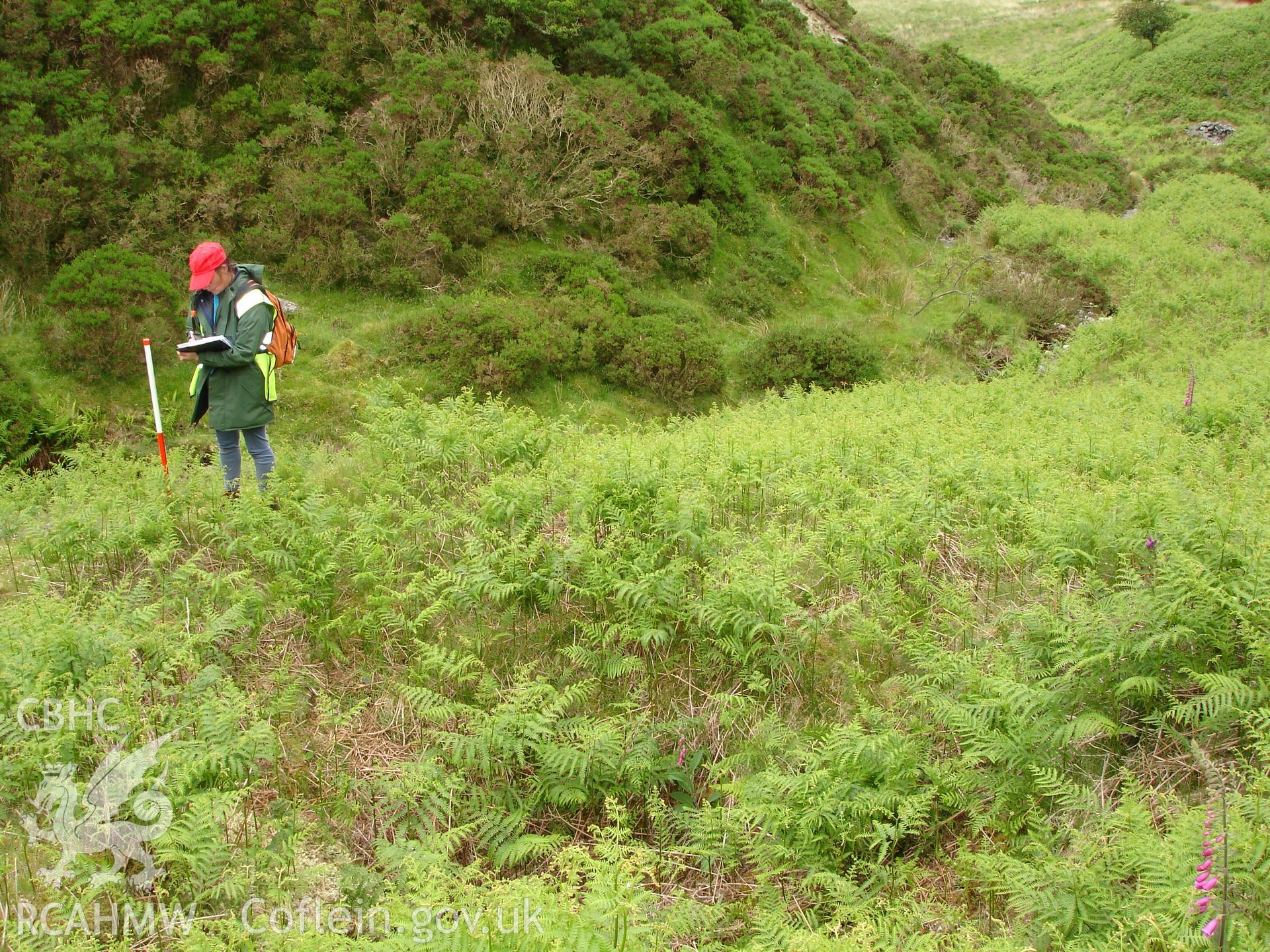 Photograph of Cwmrhaiader Lead Mine Shaft I taken on 13/06/2005 by R.P. Sambrook during an Upland Survey undertaken by Trysor Archaeology.
