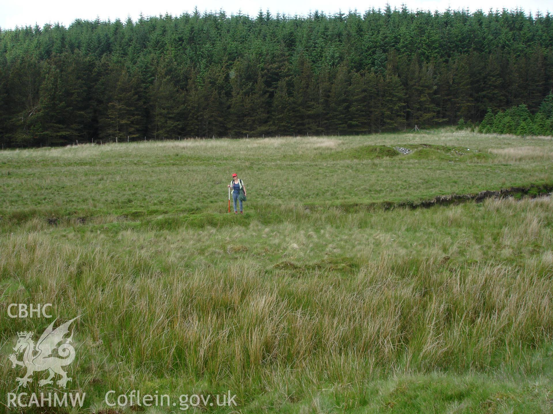 Photograph of LLuest Fawr Bank taken on 11/06/2005 by R.P. Sambrook during an Upland Survey undertaken by Trysor Archaeology.