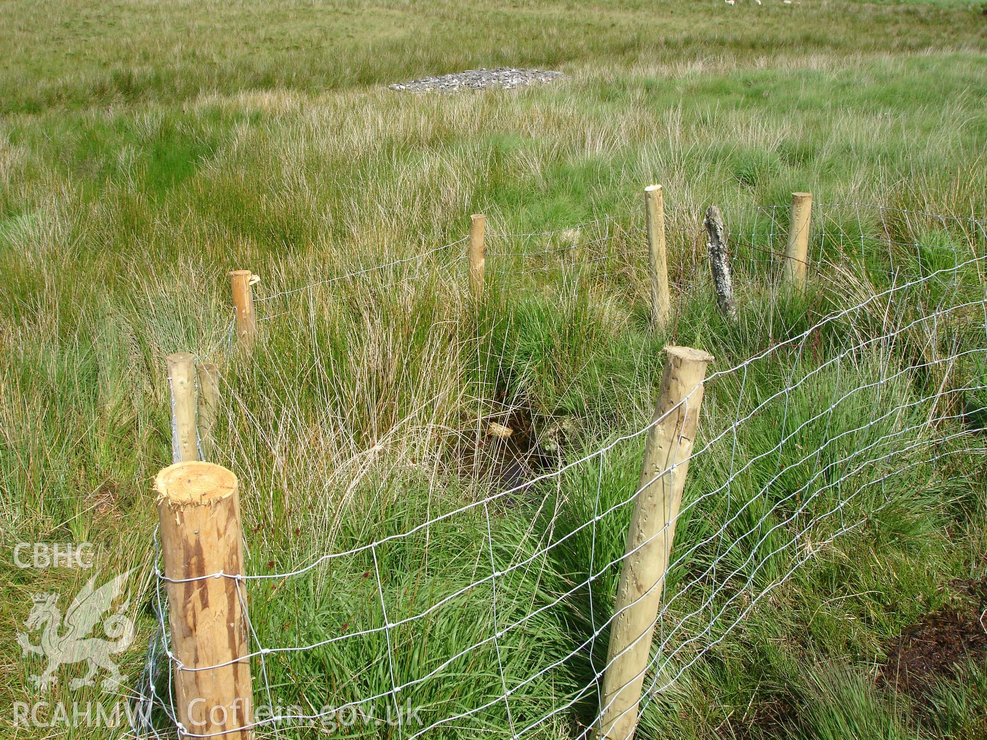 Photograph of Hyddgen Lead Mine Level II taken on 08/07/2005 by R.P. Sambrook during an Upland Survey undertaken by Trysor Archaeology.