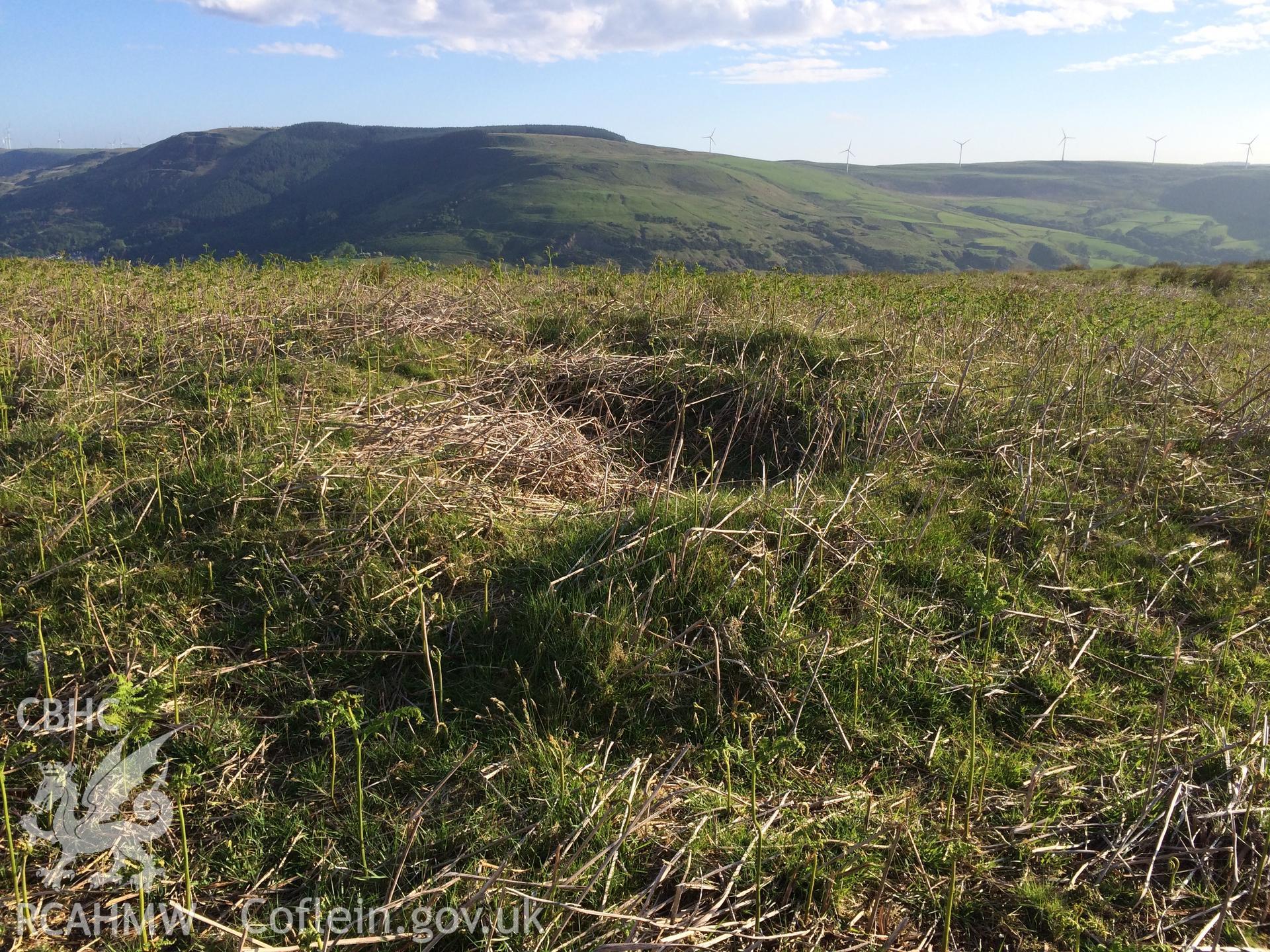 Colour photo showing Hendre'r Gelli, taken by Paul R. Davis, 2nd June 2016.