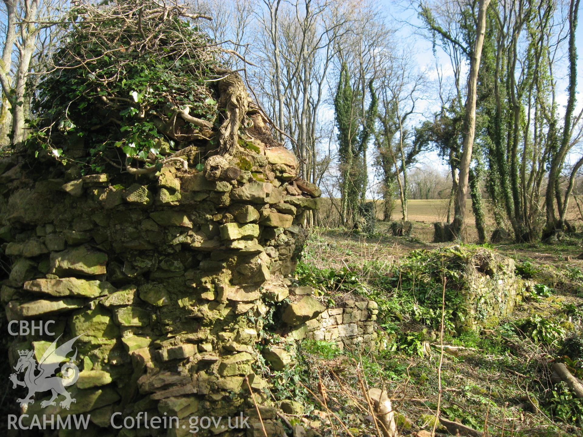 Colour photo of Dinham Castle, taken by Paul R. Davis, 28th December 2006.