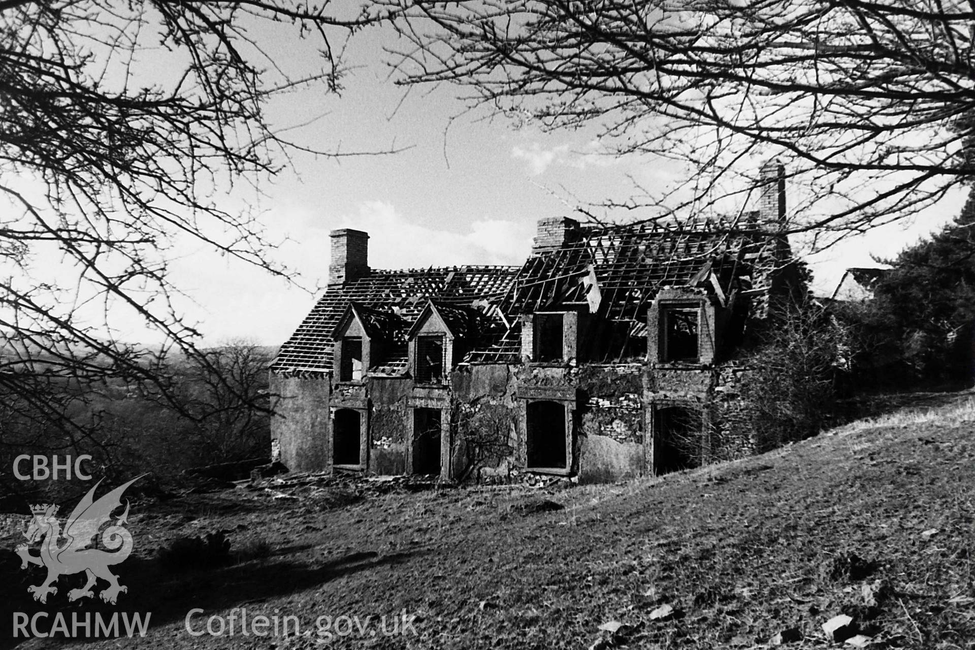 Black and white photo showing Bovil, taken by Paul R. Davis, 1990.