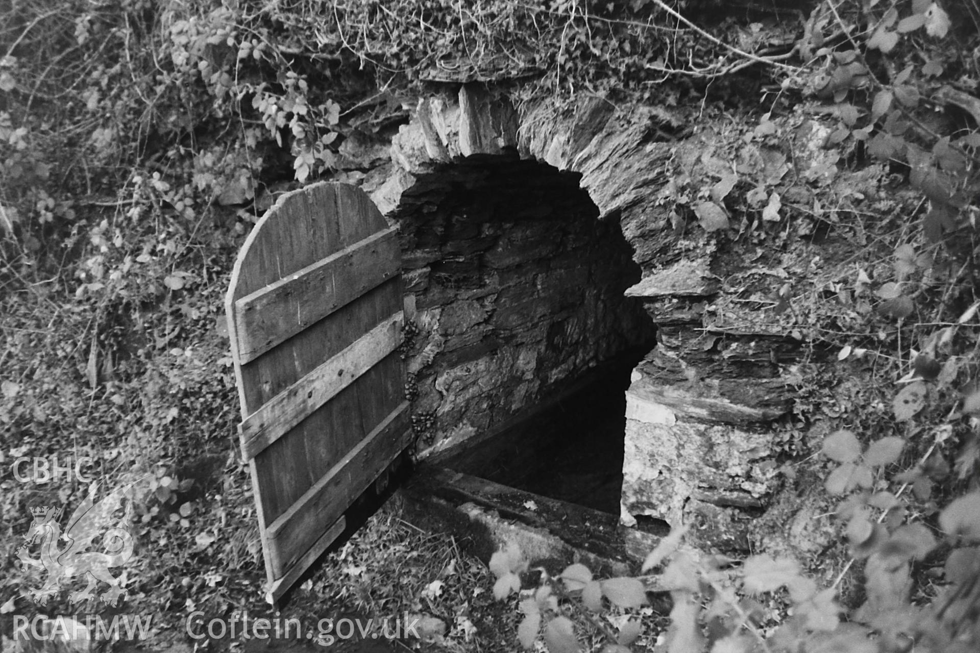 Black and white photo showing lead mine adit on Merlin's Hill, Abergwili, taken by Paul R. Davis, undated.