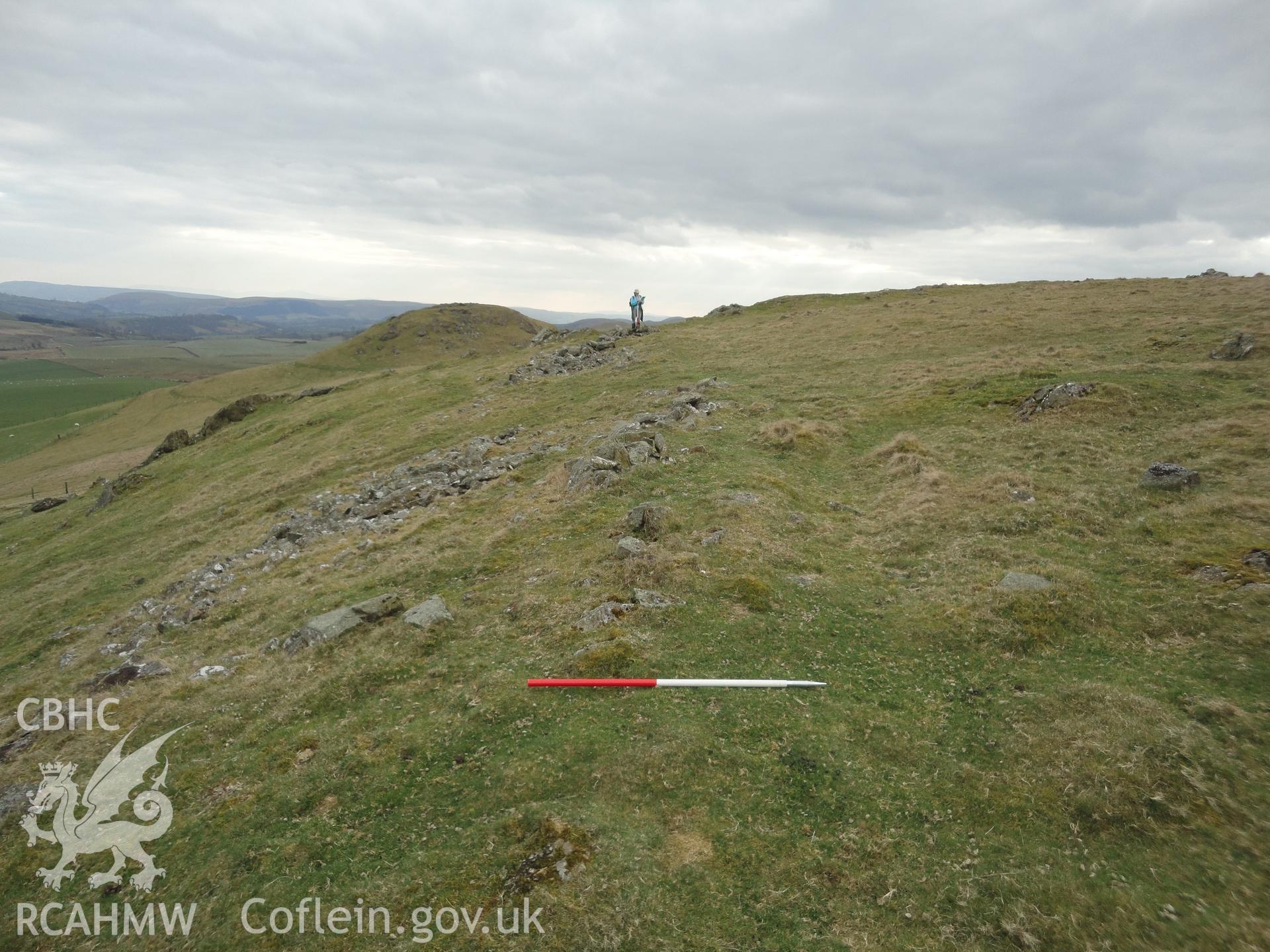 Line of bank or rampant on the southeast side of the hillfort, looking south southwest.