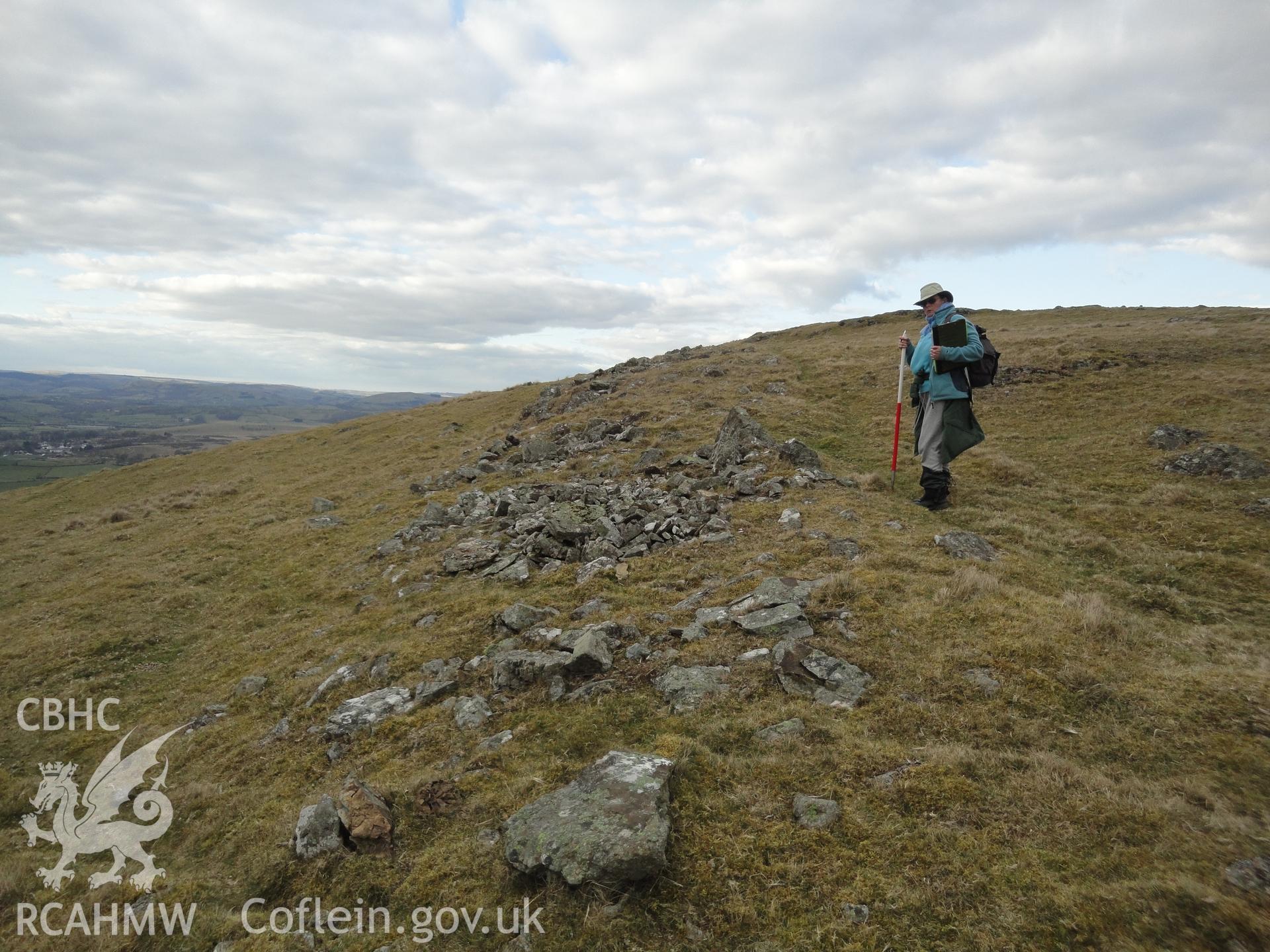 Line of bank or rampart on the northwest side of the hillfort, looking north northeast.