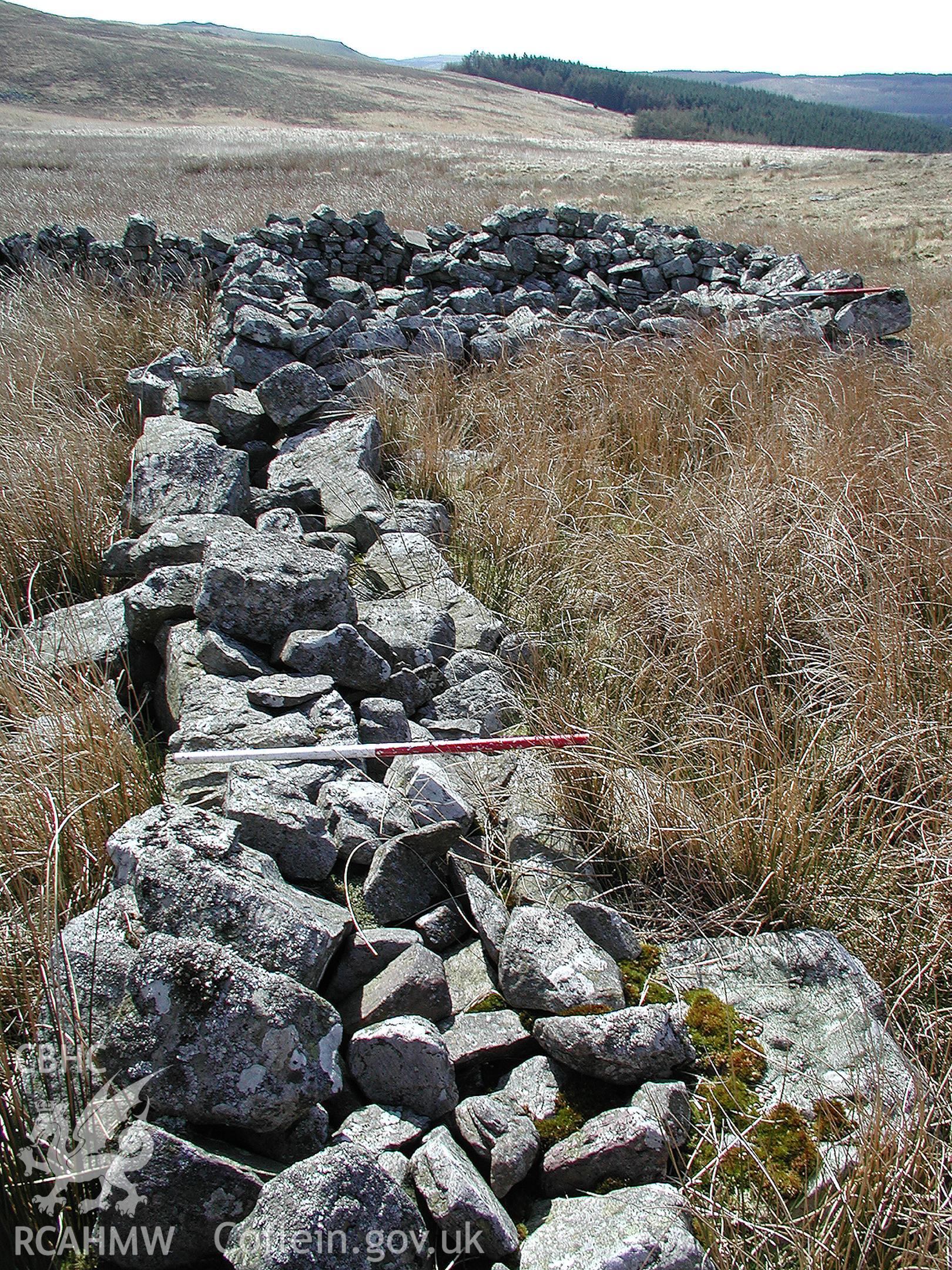 Digital photograph of Cefn Car Standing Stones taken on 10/04/2003 by Cambrian Archaeological Projects during the Pontsticill Upland Survey