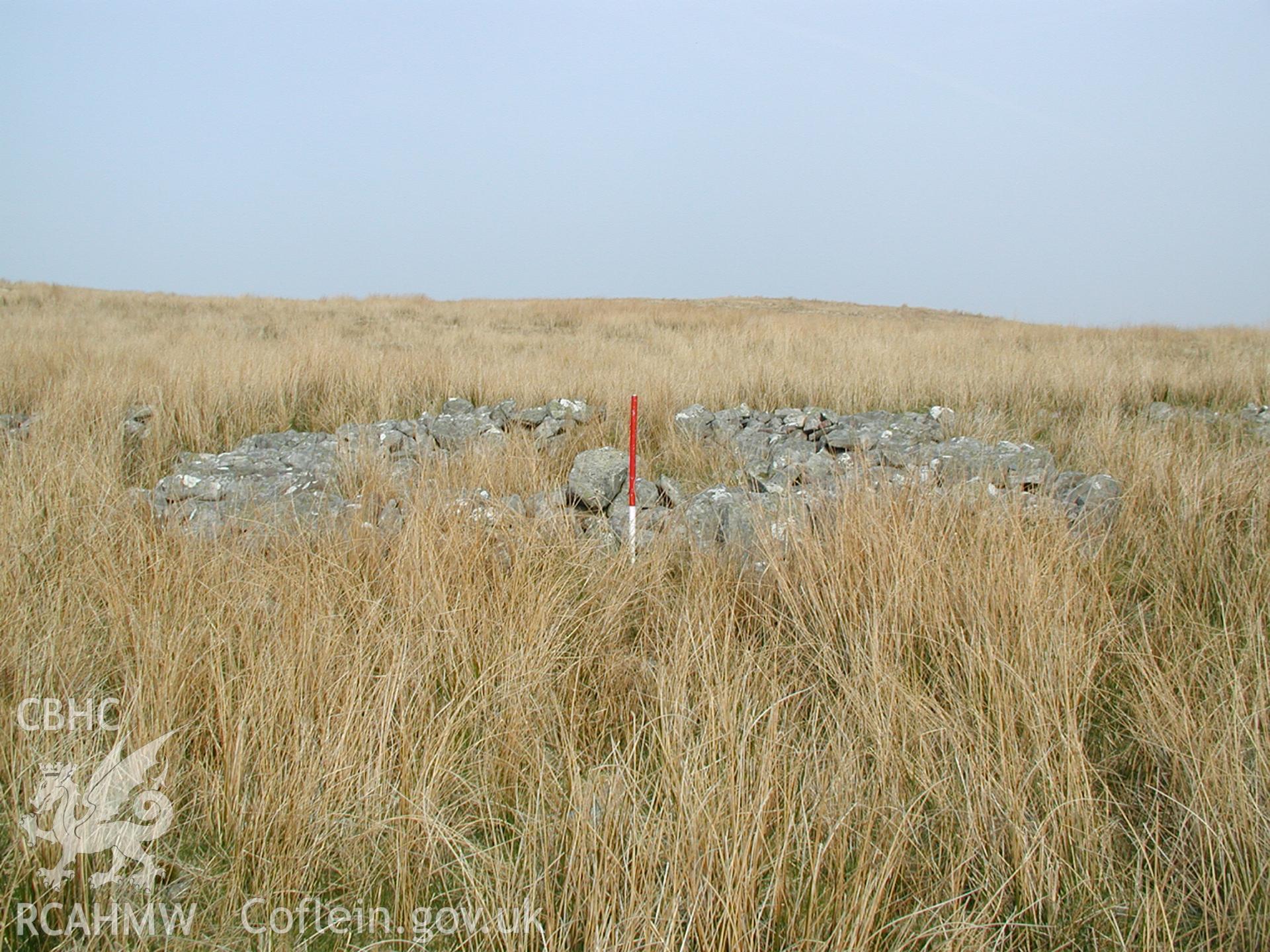 Digital photograph of Cefn Car Enclosure X taken on 27/03/2003 by Cambrian Archaeological Projects during the Pontsticill Upland Survey