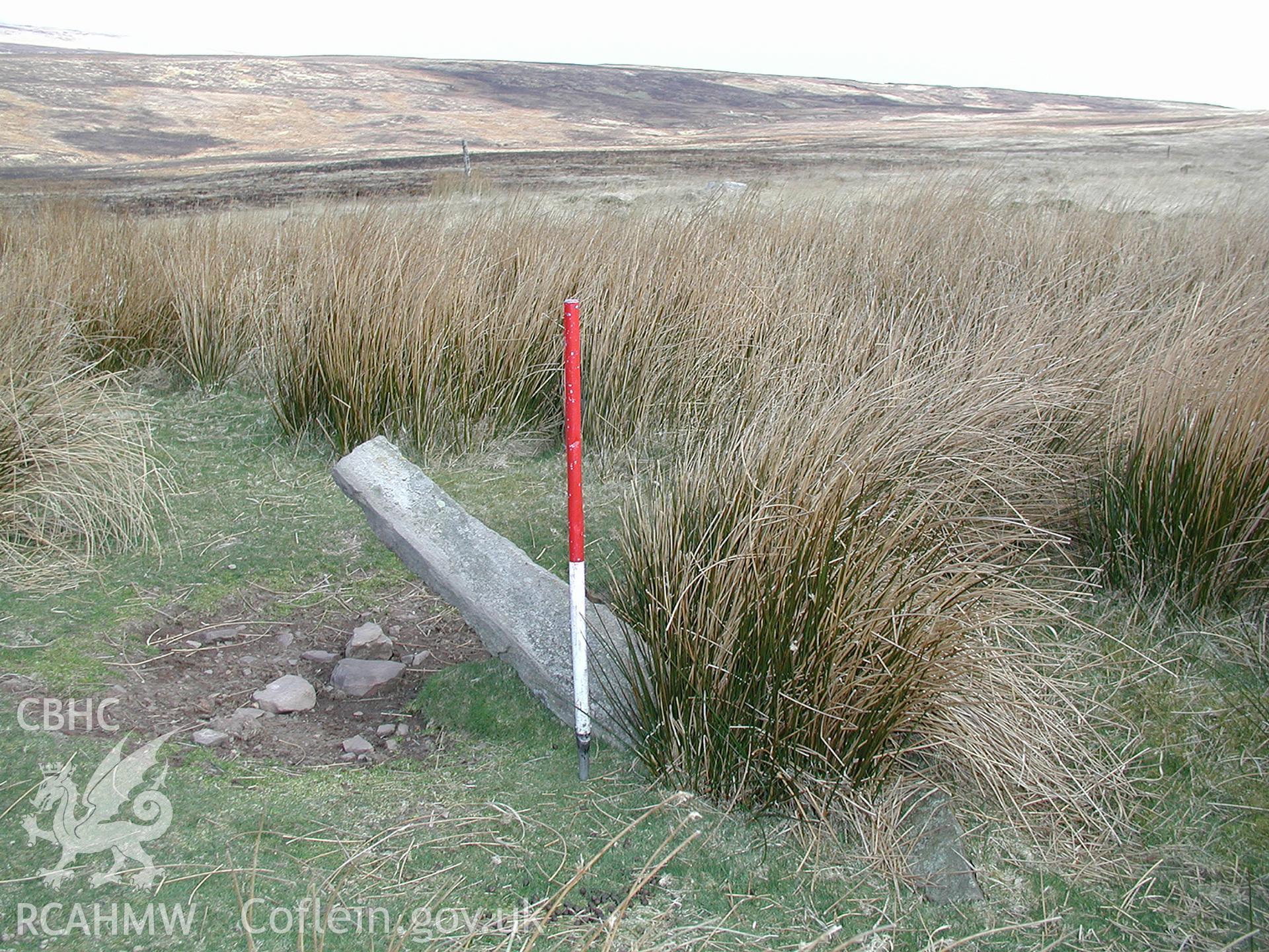 Digital photograph of Cefn Car Standing Stones taken on 10/04/2003 by Cambrian Archaeological Projects during the Pontsticill Upland Survey