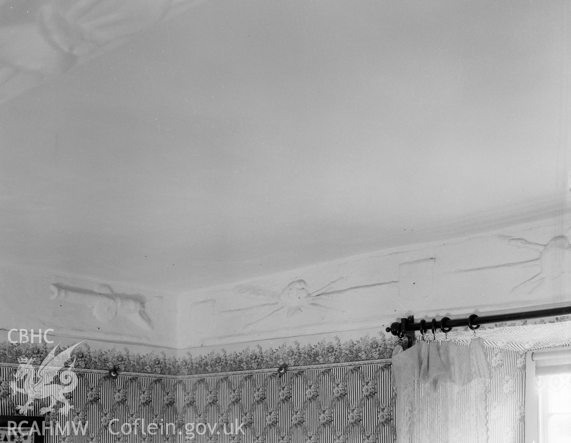 View of plaster ceiling