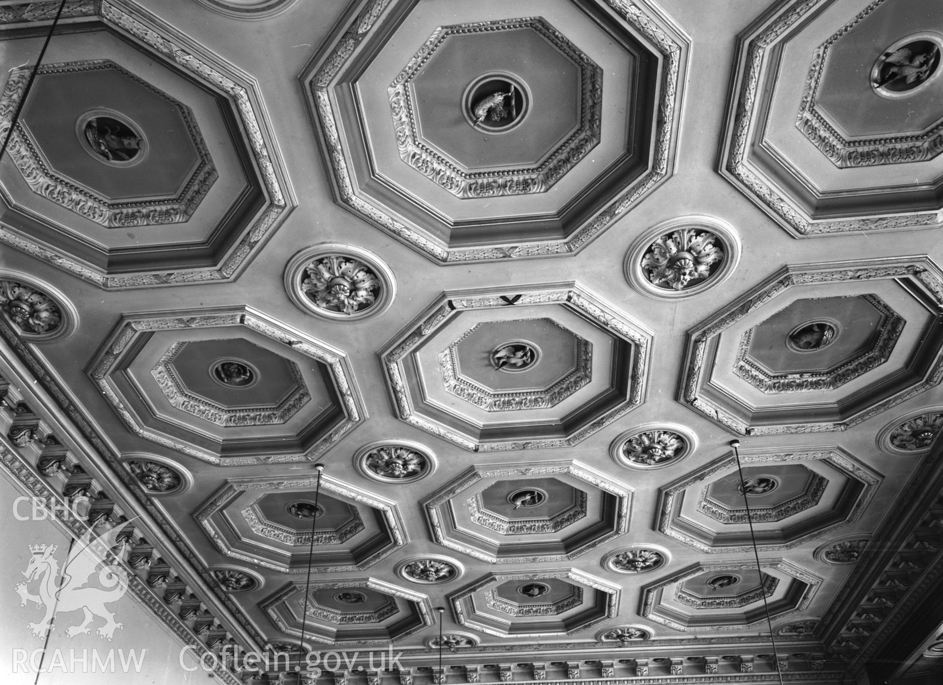 Interior: heraldic ceiling of entrance hall