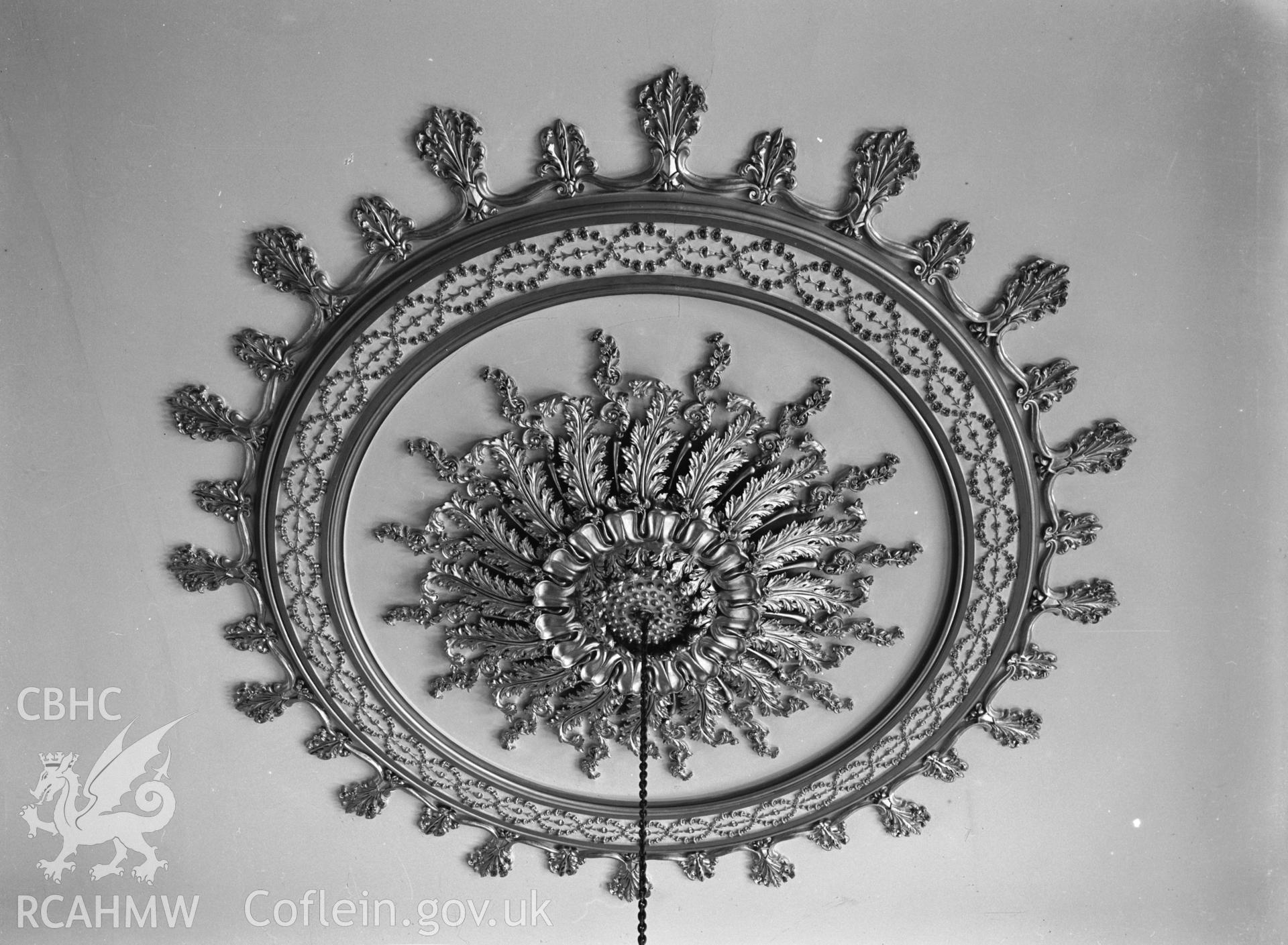 Interior view showing ceiling feature in drawing room at Glynllifon Hall