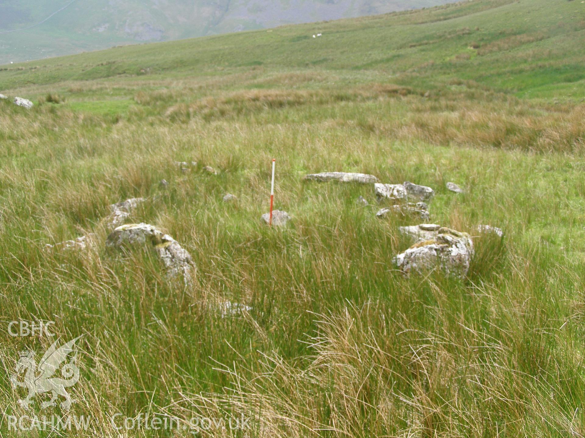 Digital colour photograph of Cwm Dwythwch longhouse II taken on 08/06/2007 by P.J. Schofield during the Snowdon North West Upland Survey undertaken by Oxford Archaeology North.