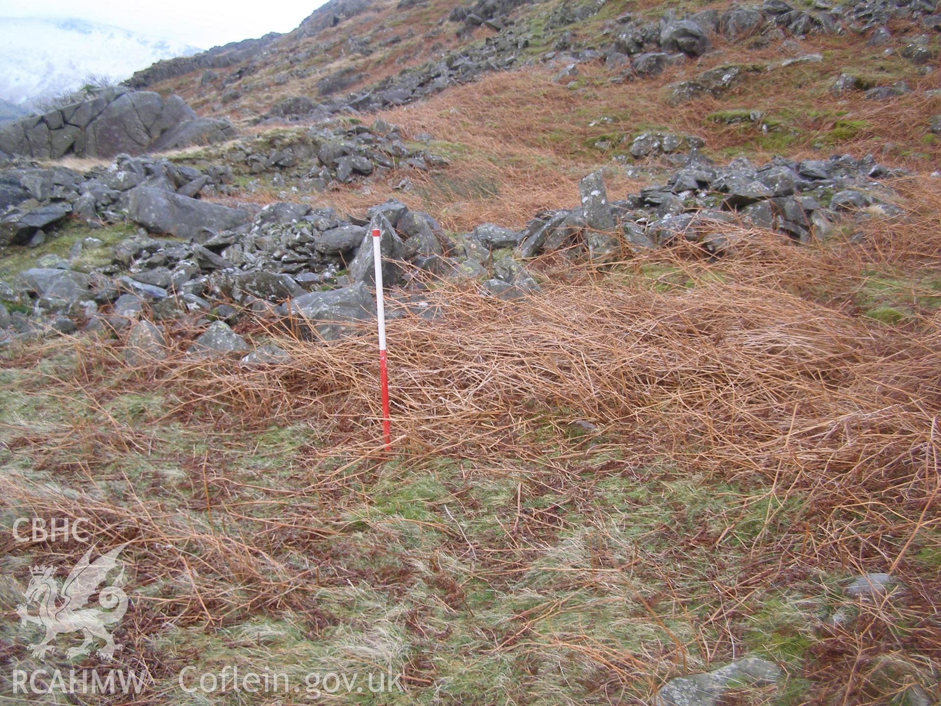 Digital colour photograph of Cader Ellyll sheep shelter I taken on 31/01/2008 by P.J. Schofield during the Snowdon North West Upland Survey undertaken by Oxford Archaeology North.