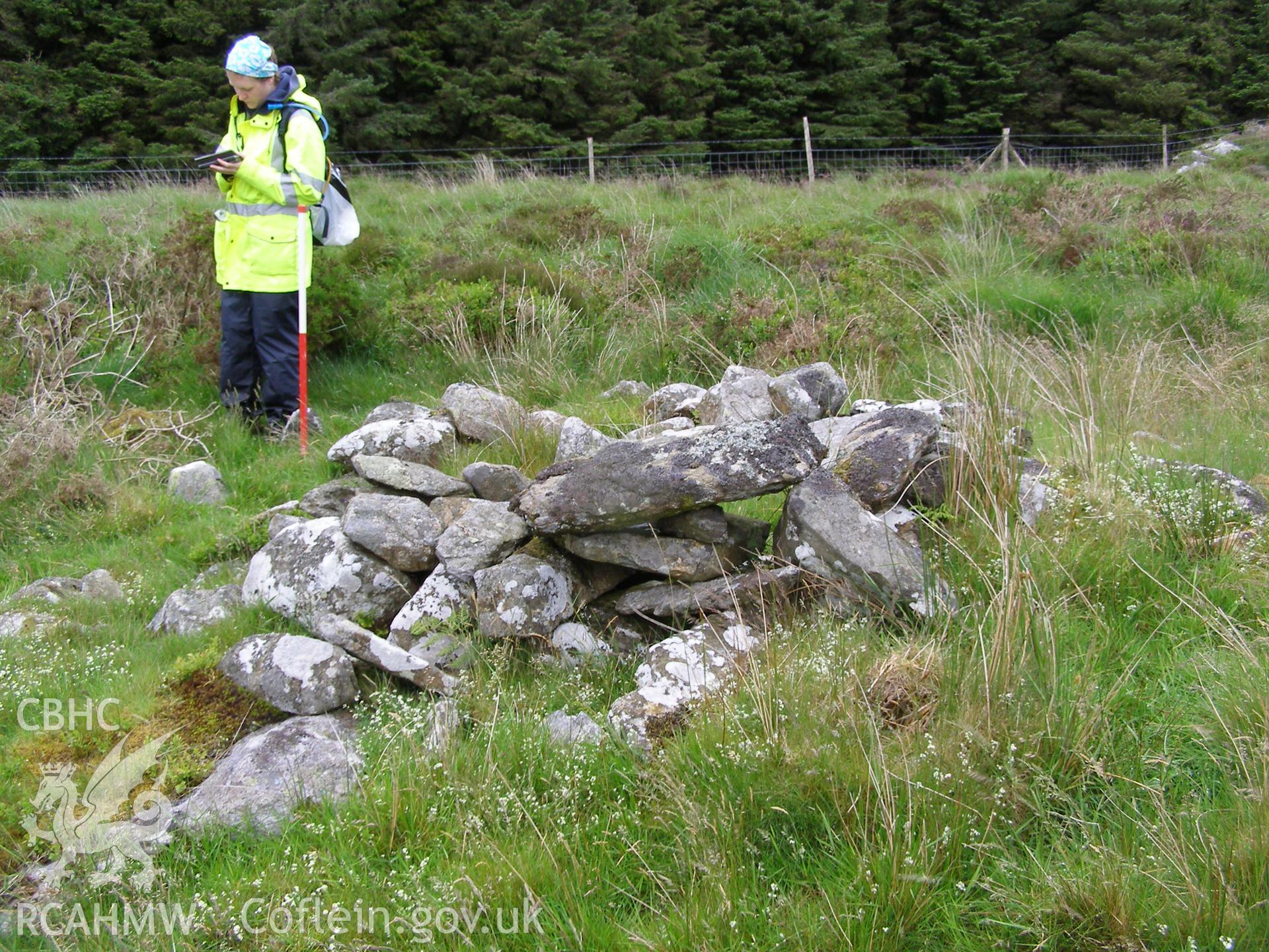 Digital colour photograph of Donen Las sheep shelter taken on 14/06/2007 by P.J. Schofield during the Snowdon North West Upland Survey undertaken by Oxford Archaeology North.