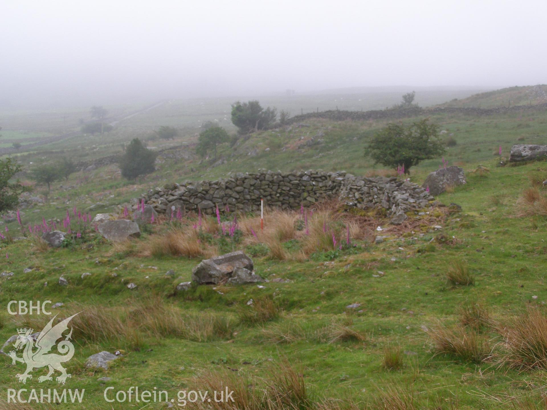 Digital colour photograph of Ty'r-Mawn hut circle taken on 12/06/2007 by P.J. Schofield during the Snowdon North West Upland Survey undertaken by Oxford Archaeology North.
