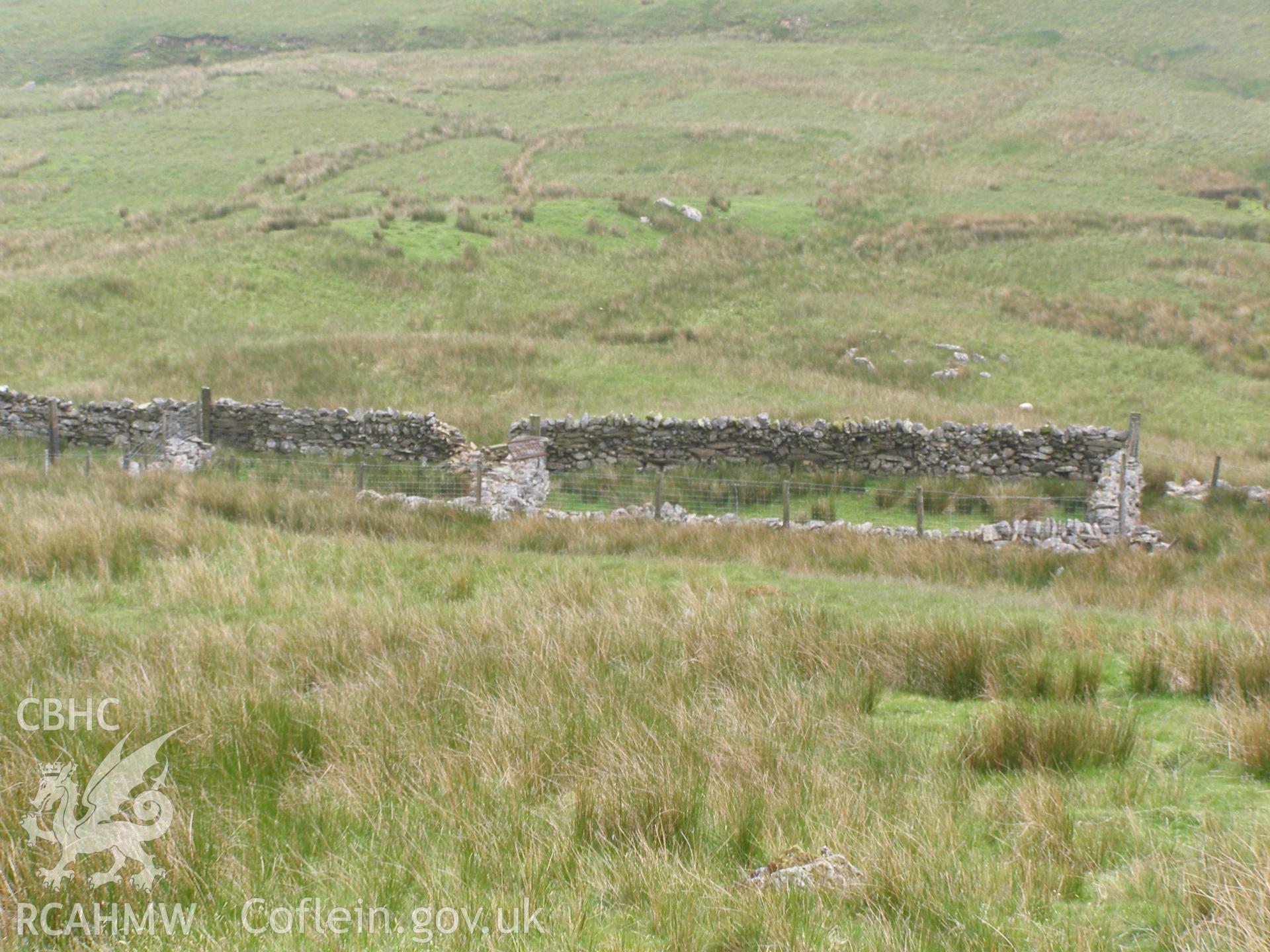 Digital colour photograph of Cwm Dwythwch sheep fold III taken on 08/06/2007 by P.J. Schofield during the Snowdon North West Upland Survey undertaken by Oxford Archaeology North.