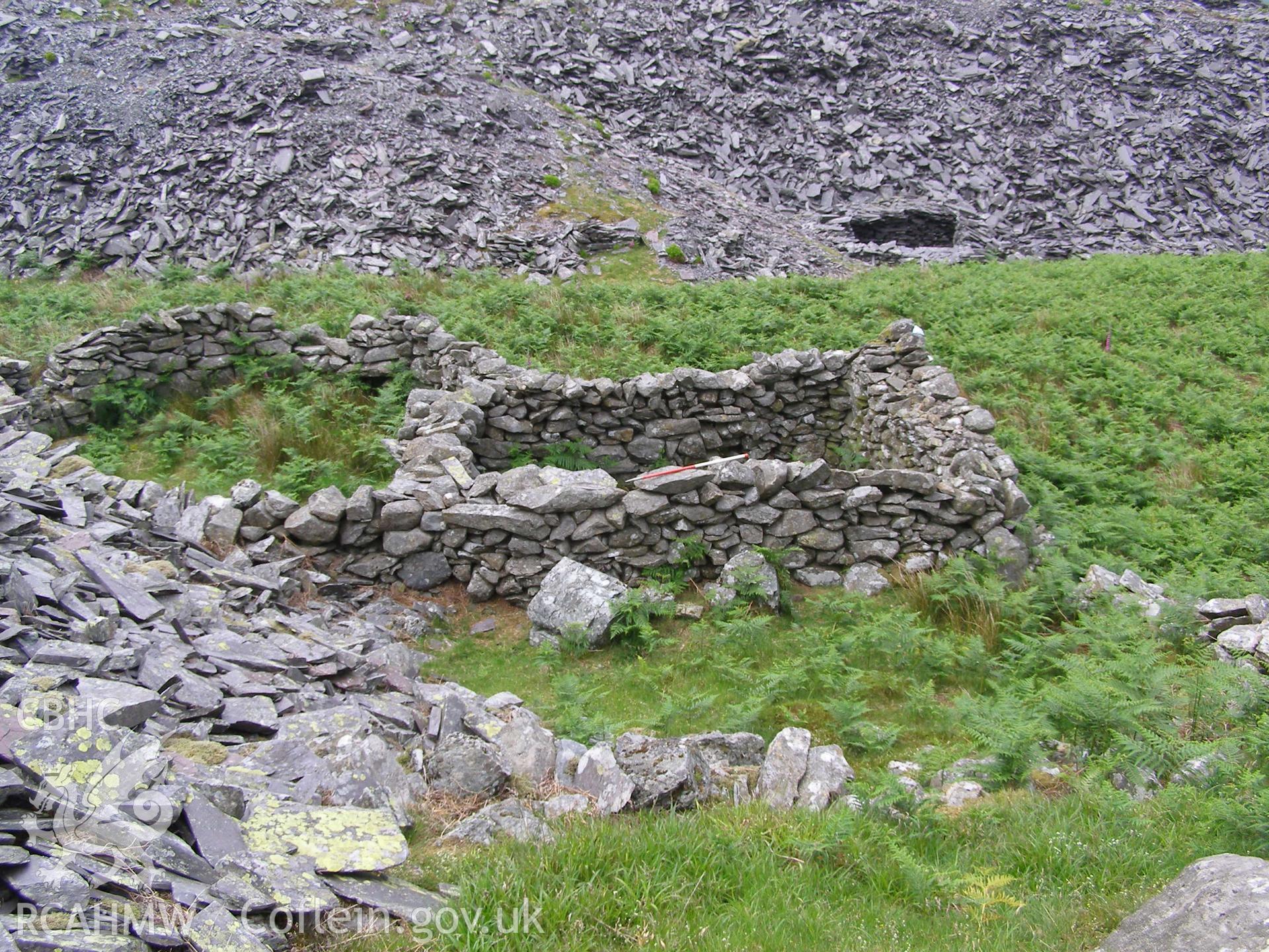 Digital colour photograph of Tyn-y-Mynydd sheep fold I taken on 13/06/2007 by P.J. Schofield during the Snowdon North West Upland Survey undertaken by Oxford Archaeology North.