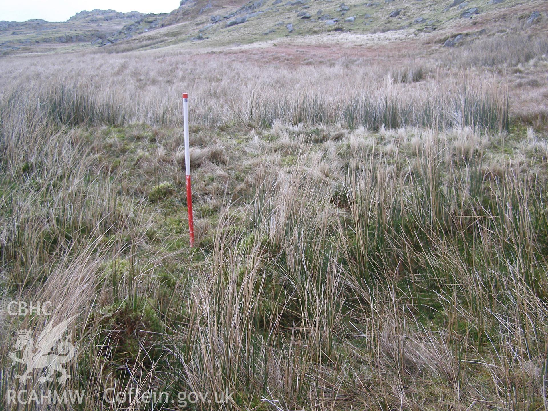 Digital colour photograph of Clogwyn Mawr house platform XXV taken on 31/01/2008 by P.J. Schofield during the Snowdon North West Upland Survey undertaken by Oxford Archaeology North.