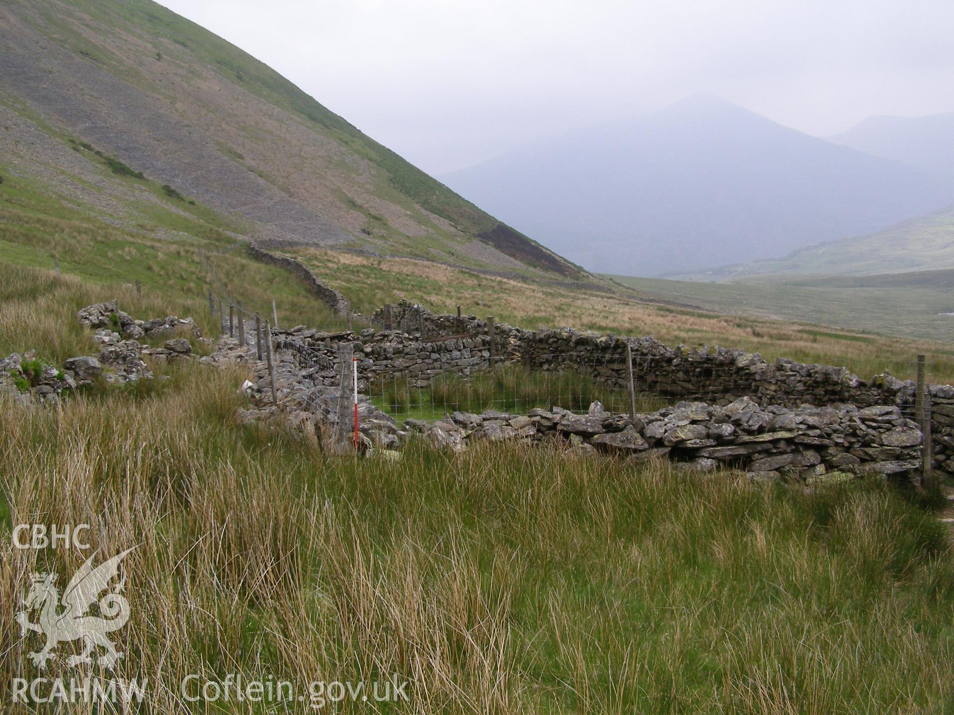 Digital colour photograph of Cwm Dwythwch sheep fold III taken on 08/06/2007 by P.J. Schofield during the Snowdon North West Upland Survey undertaken by Oxford Archaeology North.
