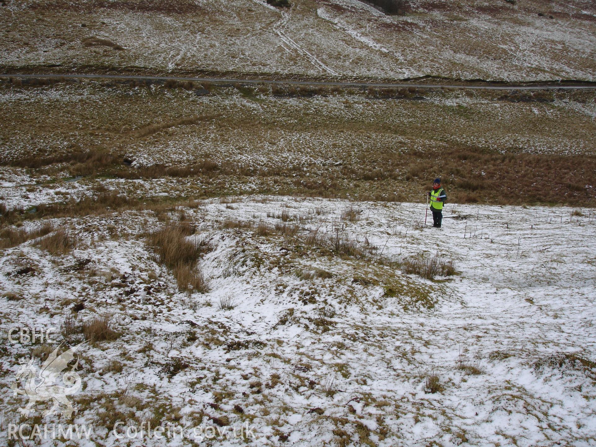 Digital colour photograph of The Warren bank VII taken on 01/02/2008 by R.P. Sambrook during the Sennybridge Dry Training Area Upland Survey undertaken by Trysor.
