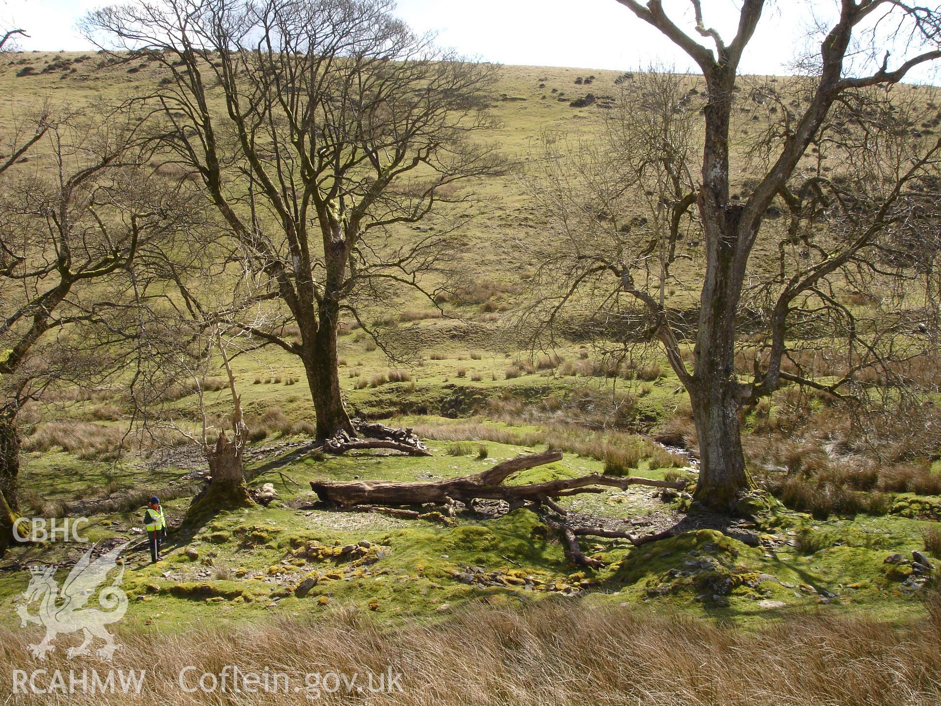 Digital colour photograph of a farmhouse at Dolau Gwynion taken on 08/04/2008 by R.P. Sambrook during the Sennybridge Dry Training Area Upland Survey undertaken by Trysor.