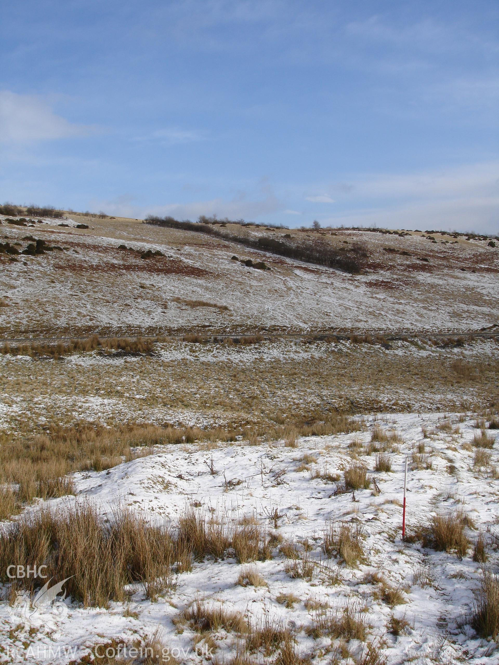 Digital colour photograph of The Warren longhouse taken on 01/02/2008 by R.P. Sambrook during the Sennybridge Dry Training Area Upland Survey undertaken by Trysor.
