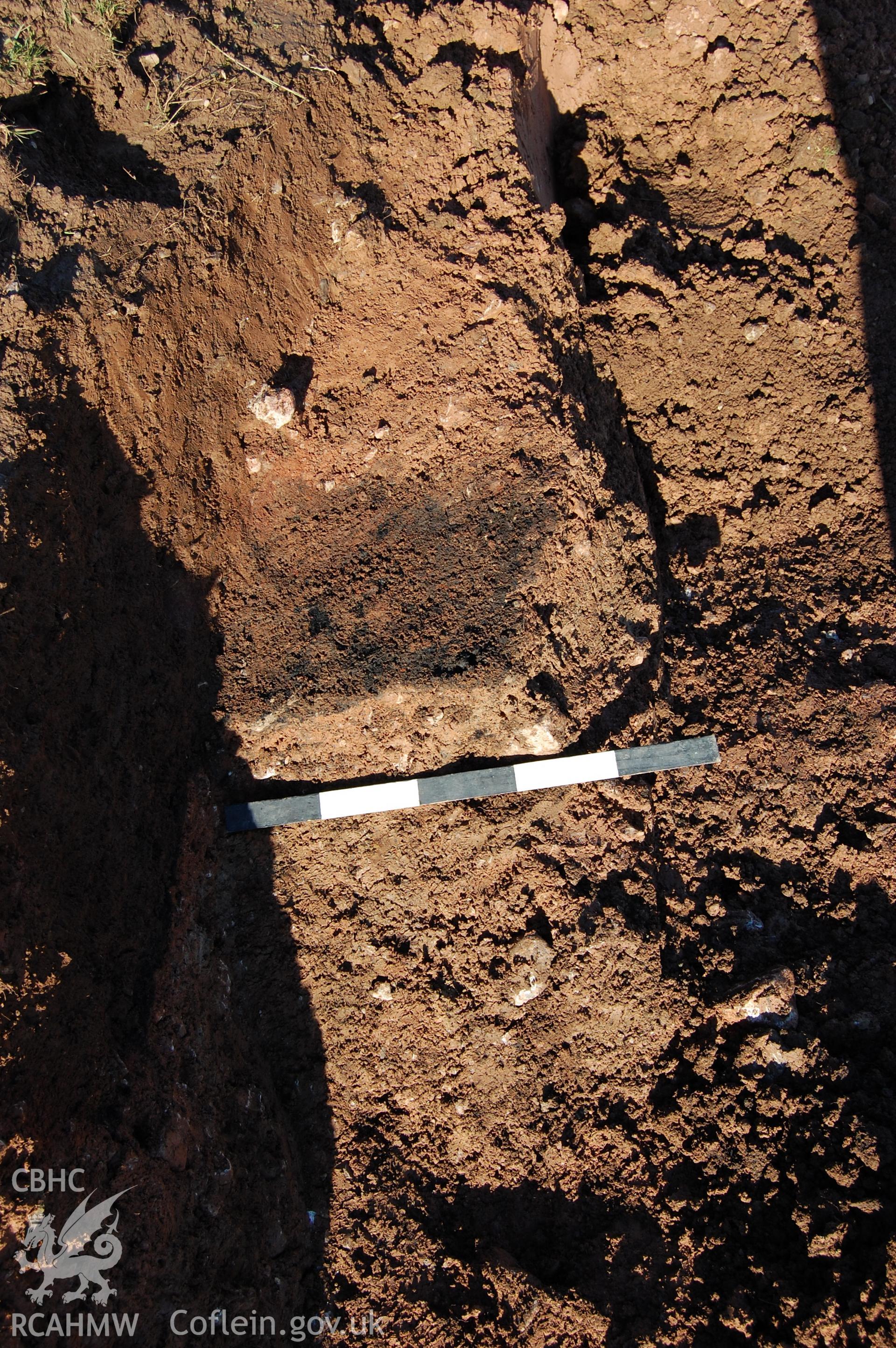 Digital photograph showing charcoal layer 009 in pit 010.