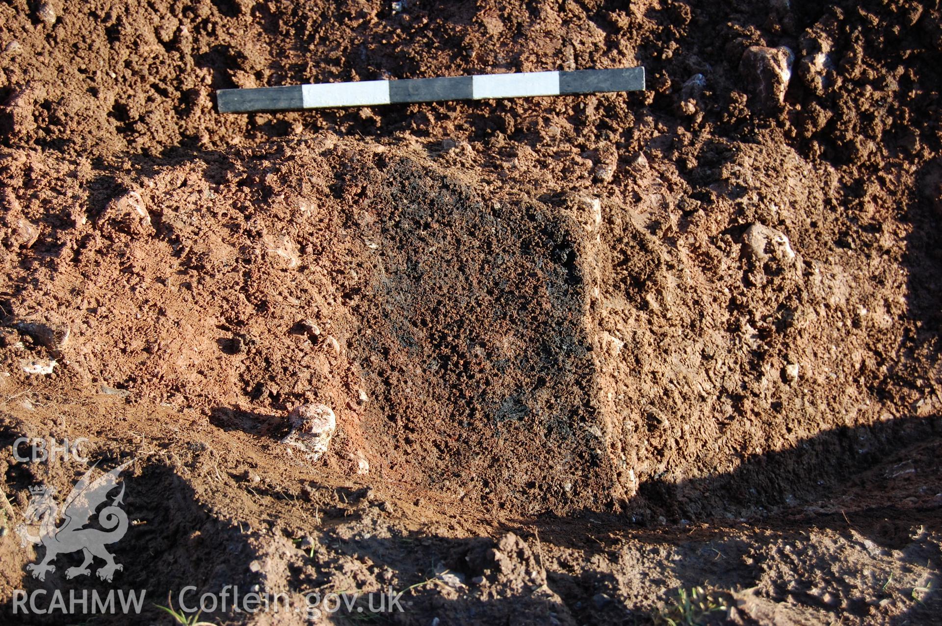 Digital photograph showing charcoal layer 009 in pit 010.