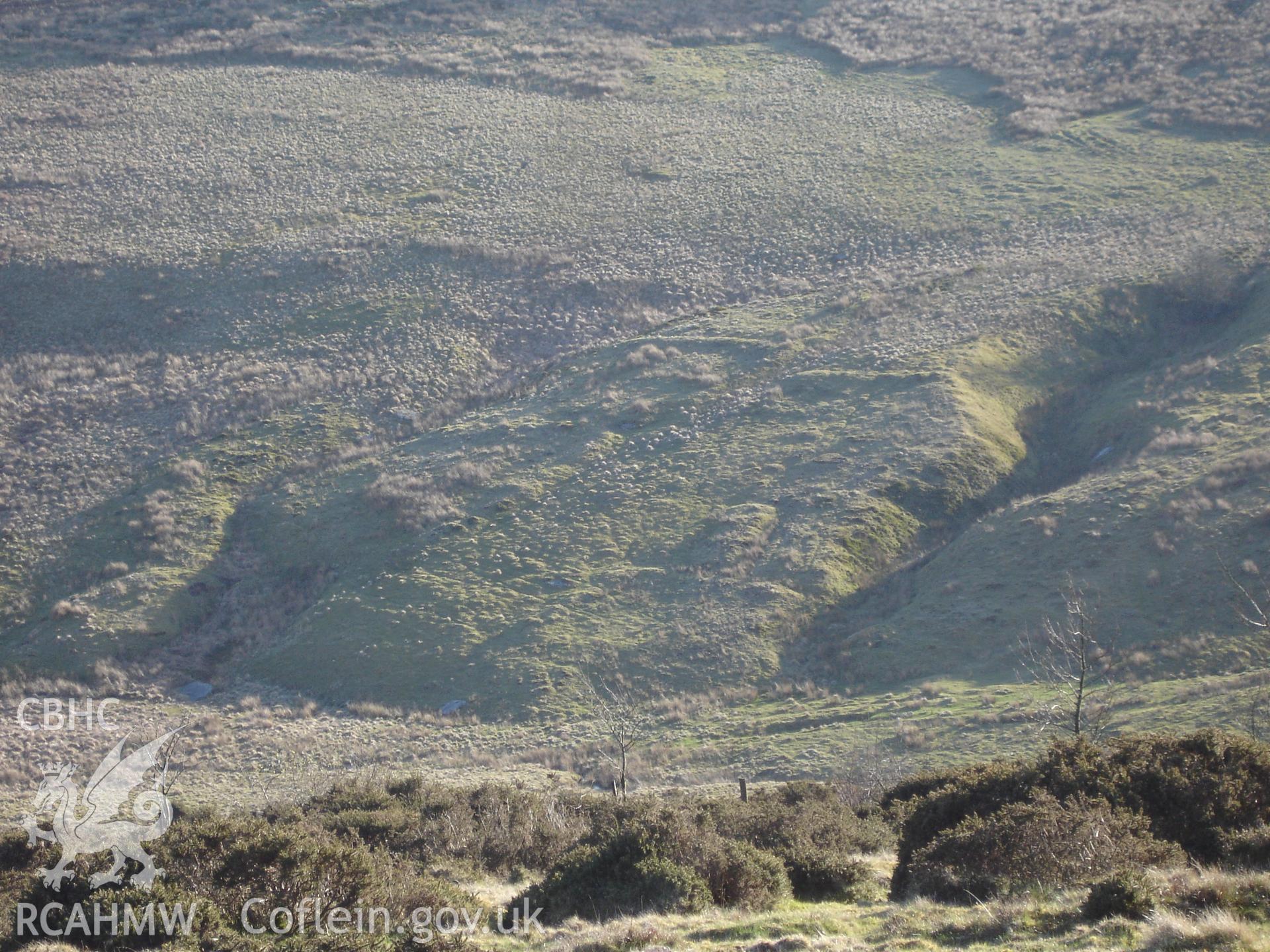 Digital colour photograph of The Warren enclosure IV taken on 01/02/2008 by R.P. Sambrook during the Sennybridge Dry Training Area Upland Survey undertaken by Trysor.