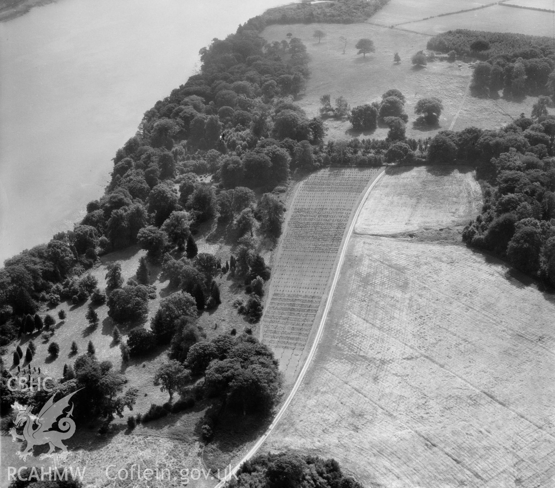 View of tree plantation, Plas Newydd (commissioned by the Marquess of Anglesey)