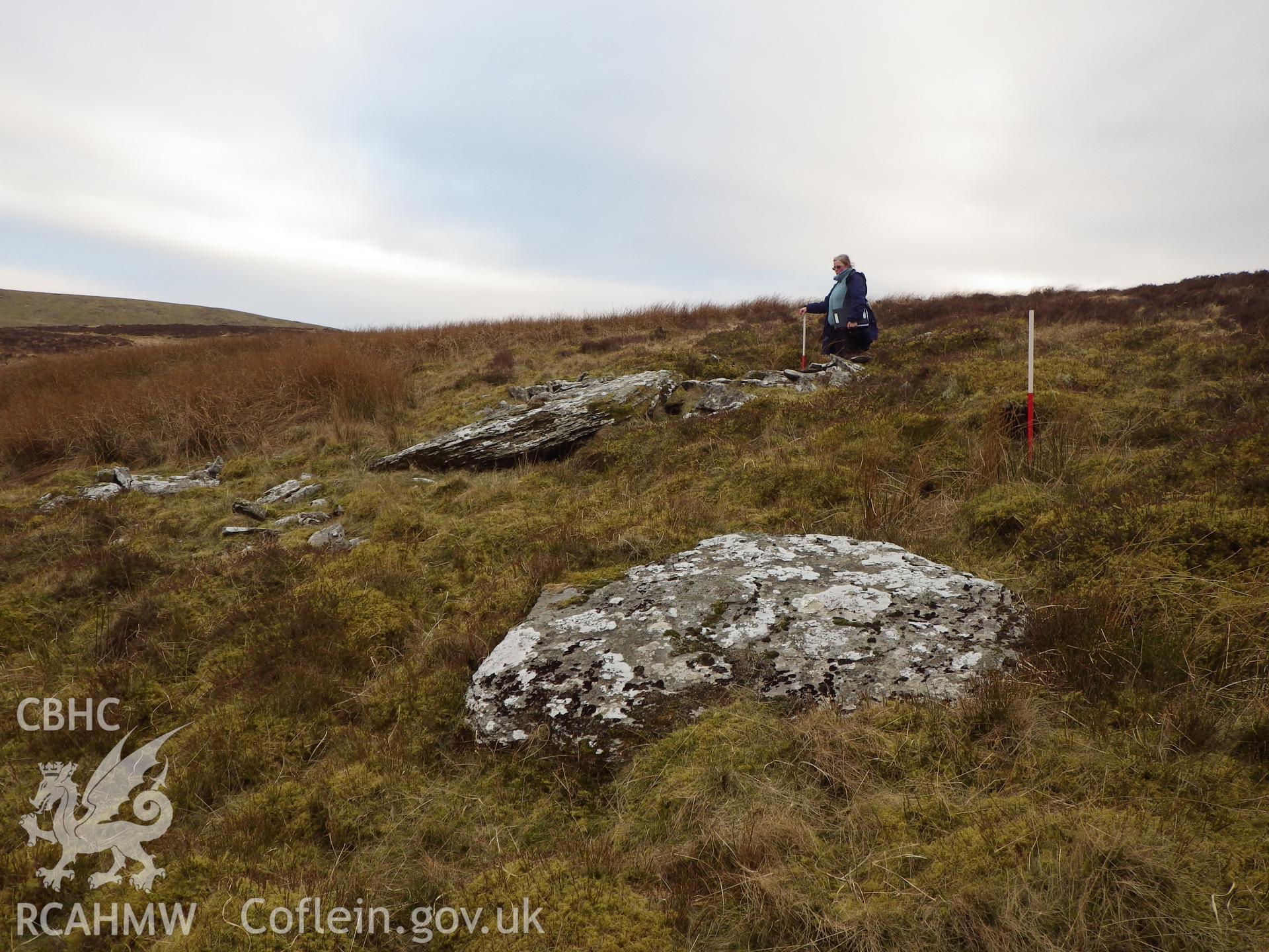 Cerrig Clochesti, looking southeast, the cist (ranging rod marks its position) and capstone of NPRN 529509 in the foreground with the cist and capstone of 529508 in the background.