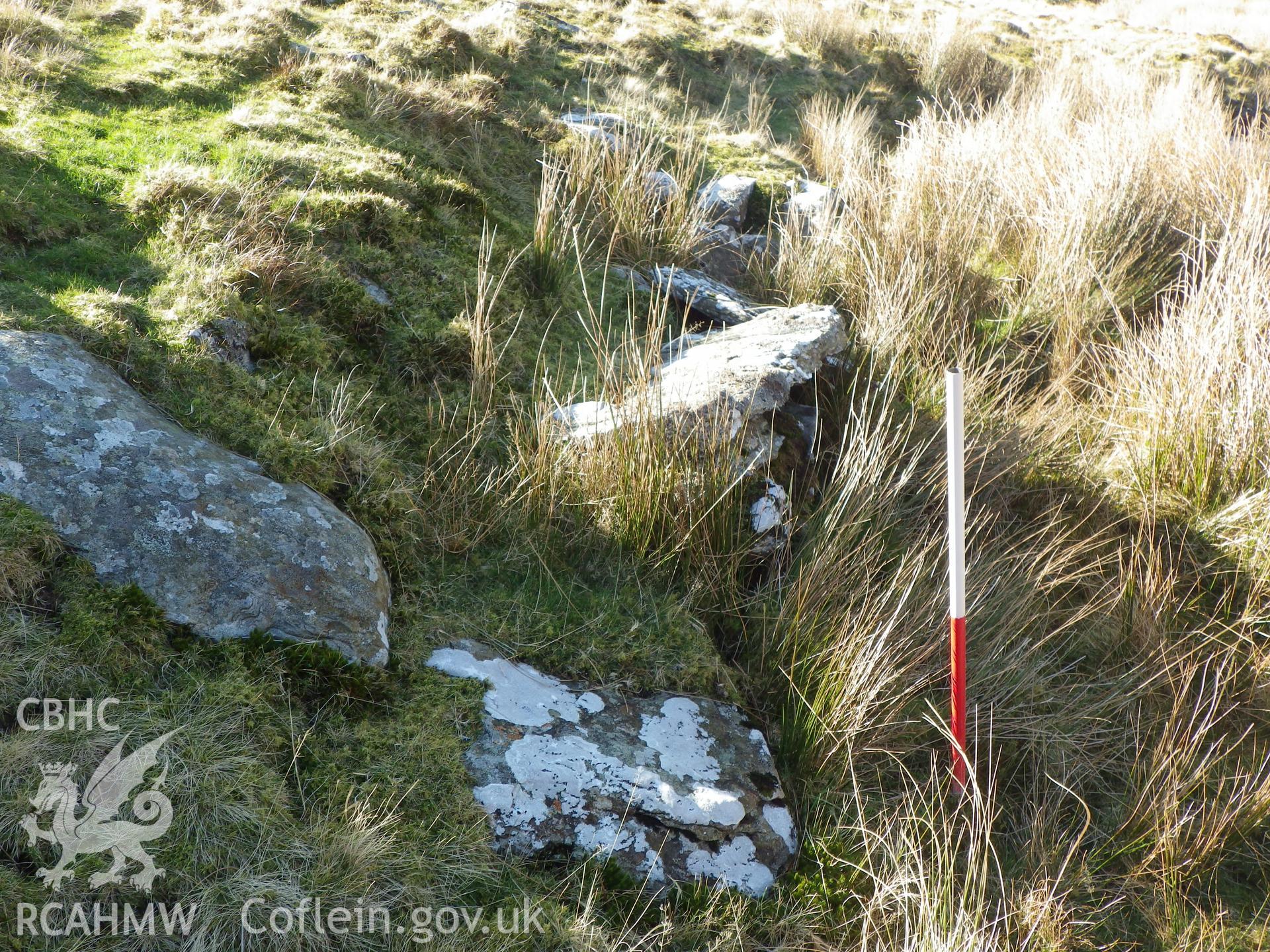 Horizontal slab at the southern edge of the terrace created for the sheep wash, looking west.