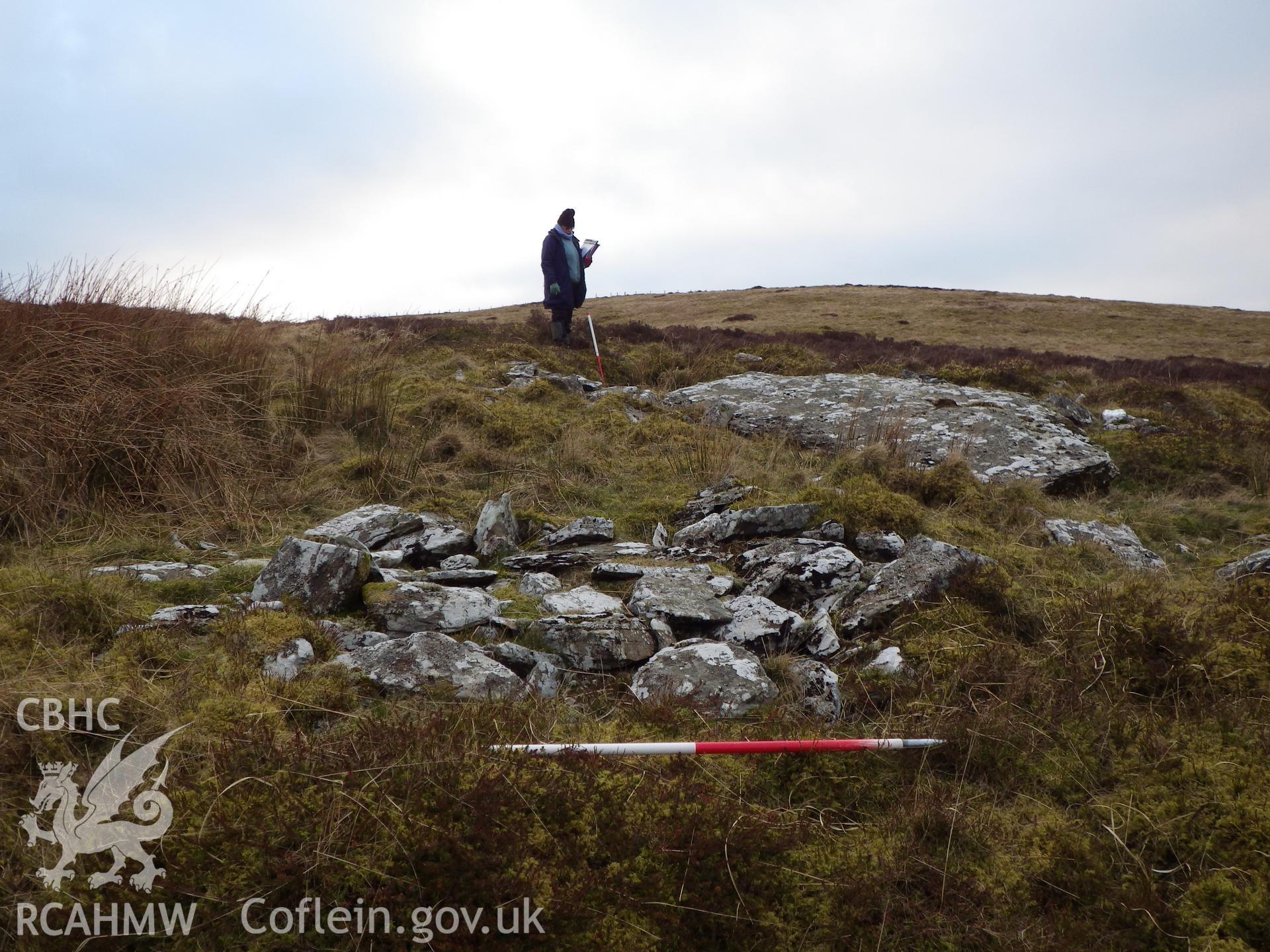 Cerrig Clochesti, looking southwest, the upright ranging rod is in the cist, with the large displaced capstone to the right.