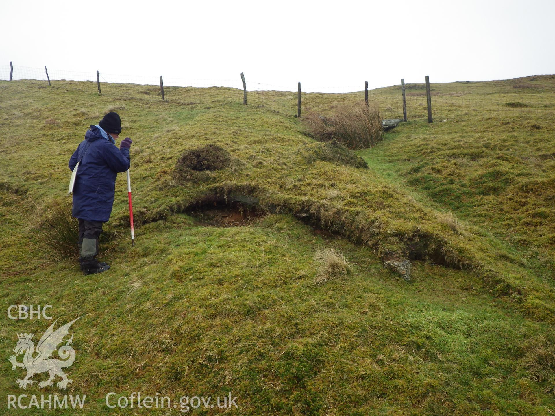 The western end of this section of the Cwys yr Ychen Bannog bank at SN7217161792, looking east southeast.