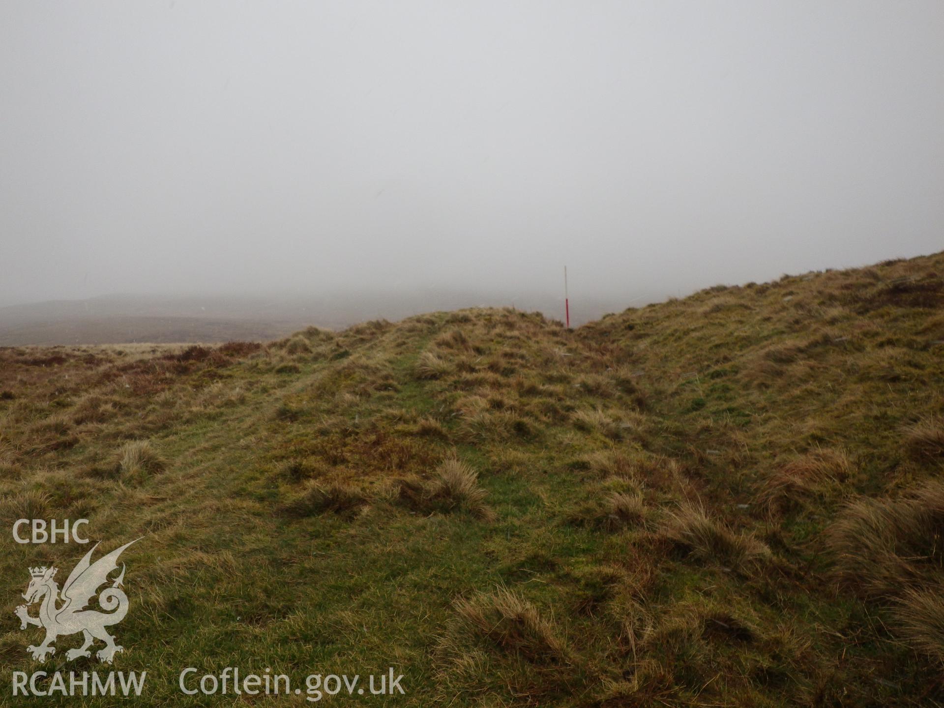 The western section of Cwys yr Ychen Bannog at its highest point on Y Bryn at SN7230861727, looking east southeast.