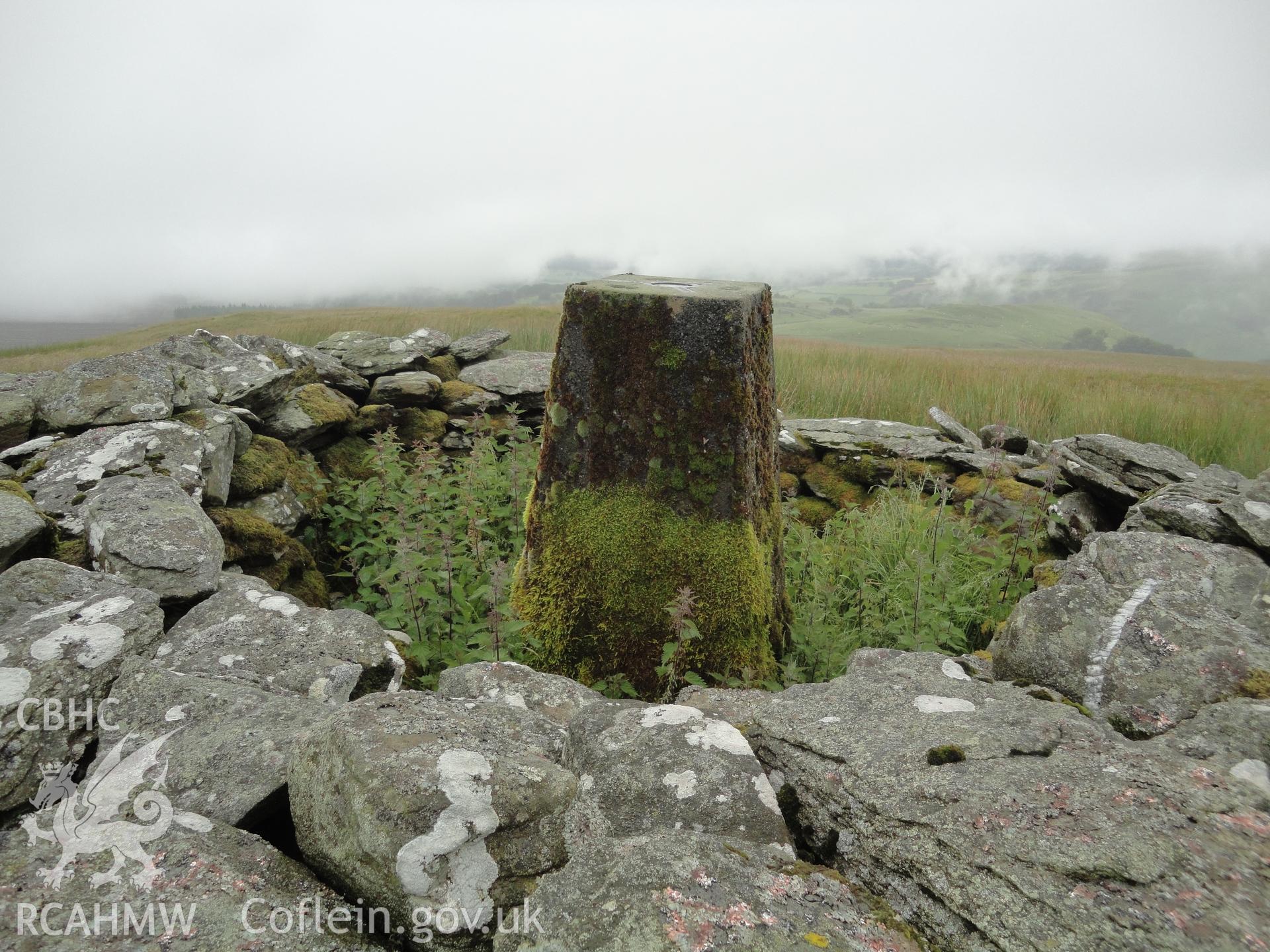 Triangulation pillar within shelter NPRN 529013, looking north