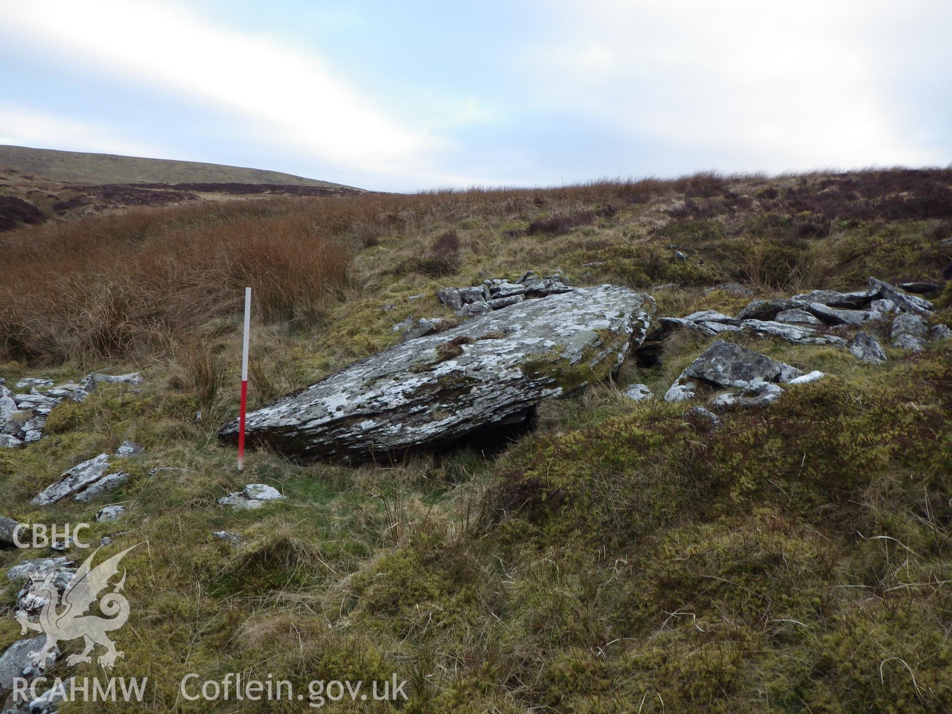 Cerrig Clochesti, looking southeast, the cist on the right, with the large capstone in the centre of the photo.