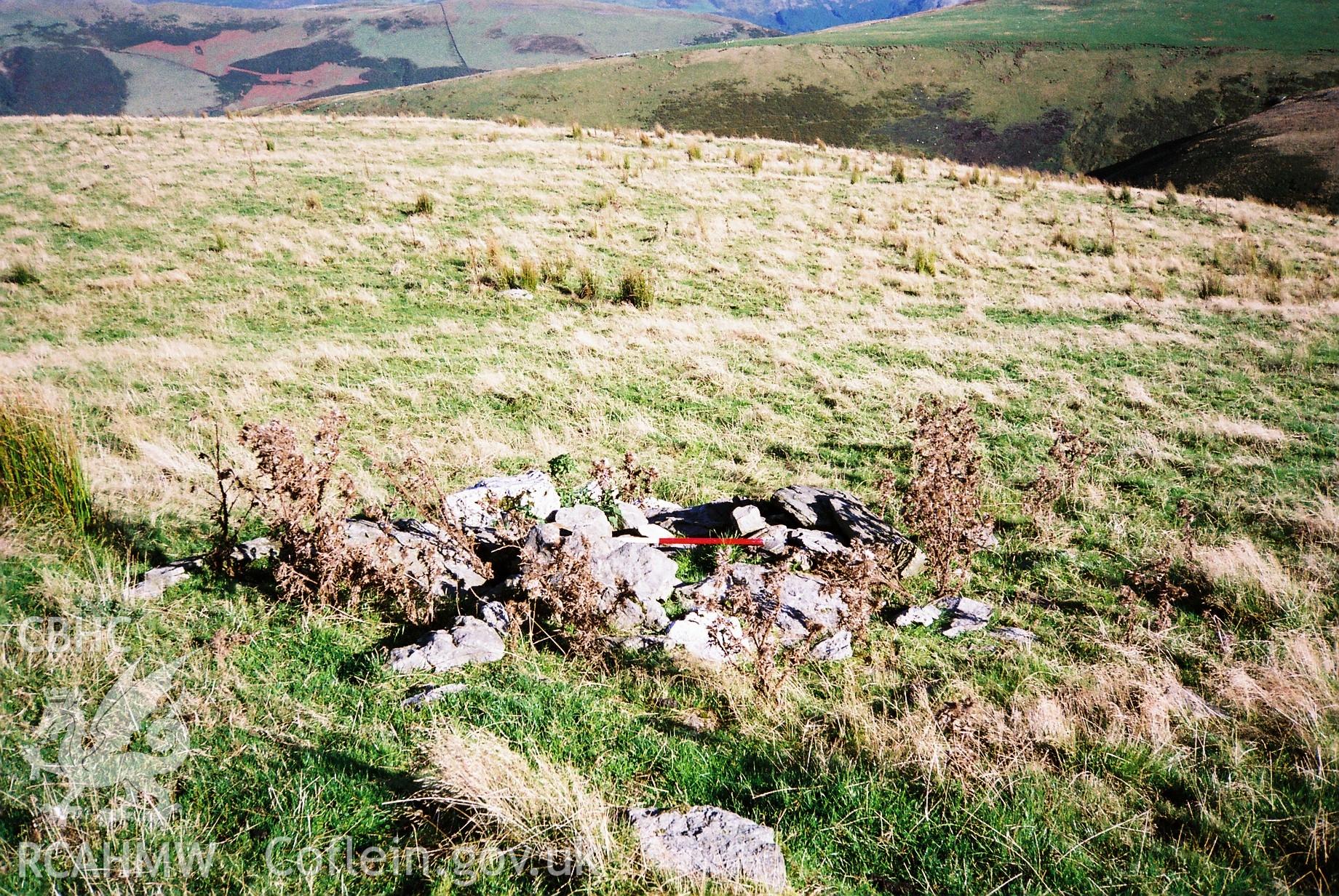 Digital colour photograph of a cairn at Cwm Pandy taken on 16/09/2005 by A.C. Roseveare during the Tywyn Dolgoch Upland Survey undertaken by Archaeophysica.