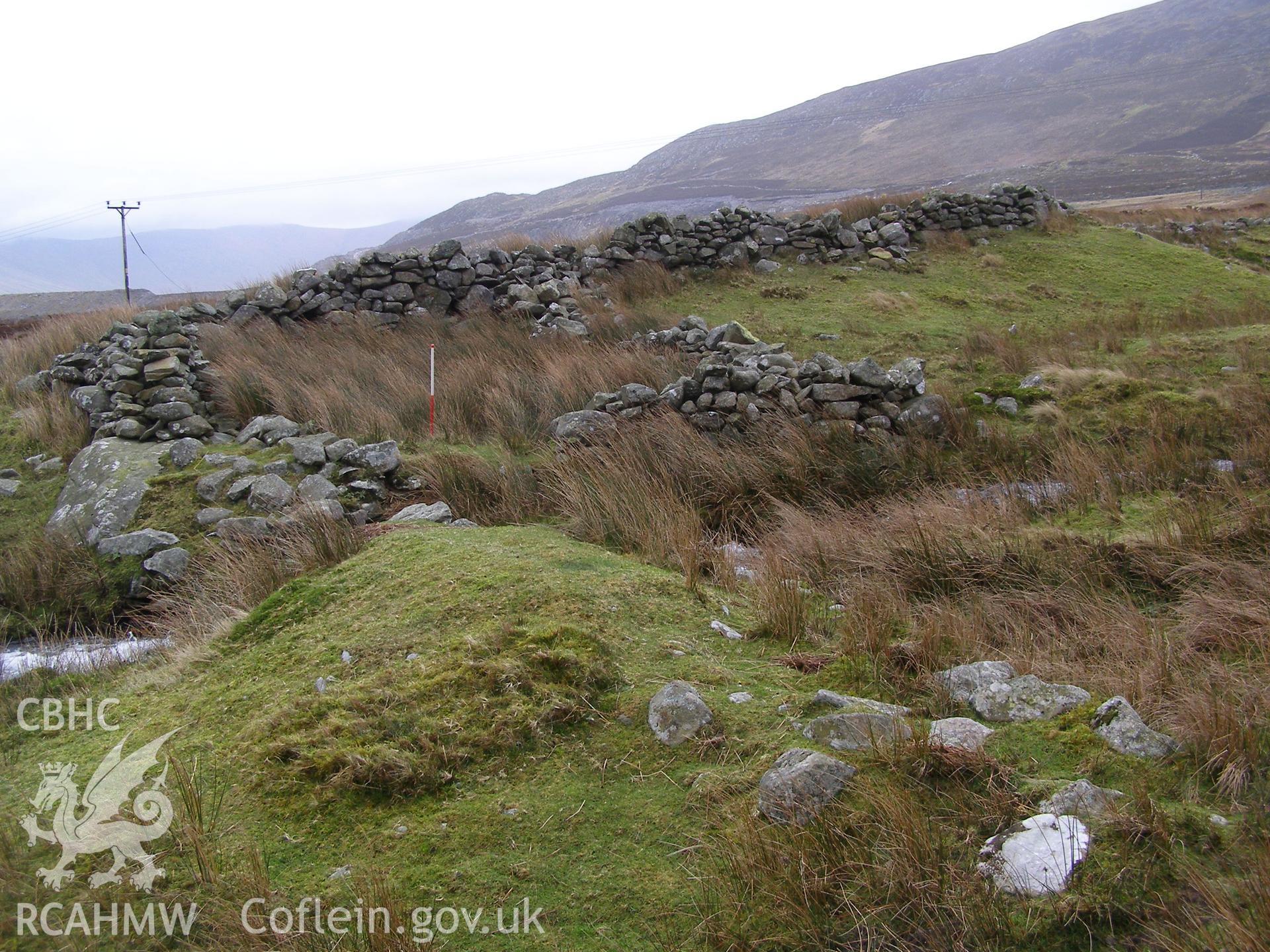 Digital colour photograph of a sheep fold at Gwaen Gynfi taken on 22/01/2008 by P.J. Schofield during the Snowdonia Bethesda Upland Survey undertaken by Oxford Archaeology North.