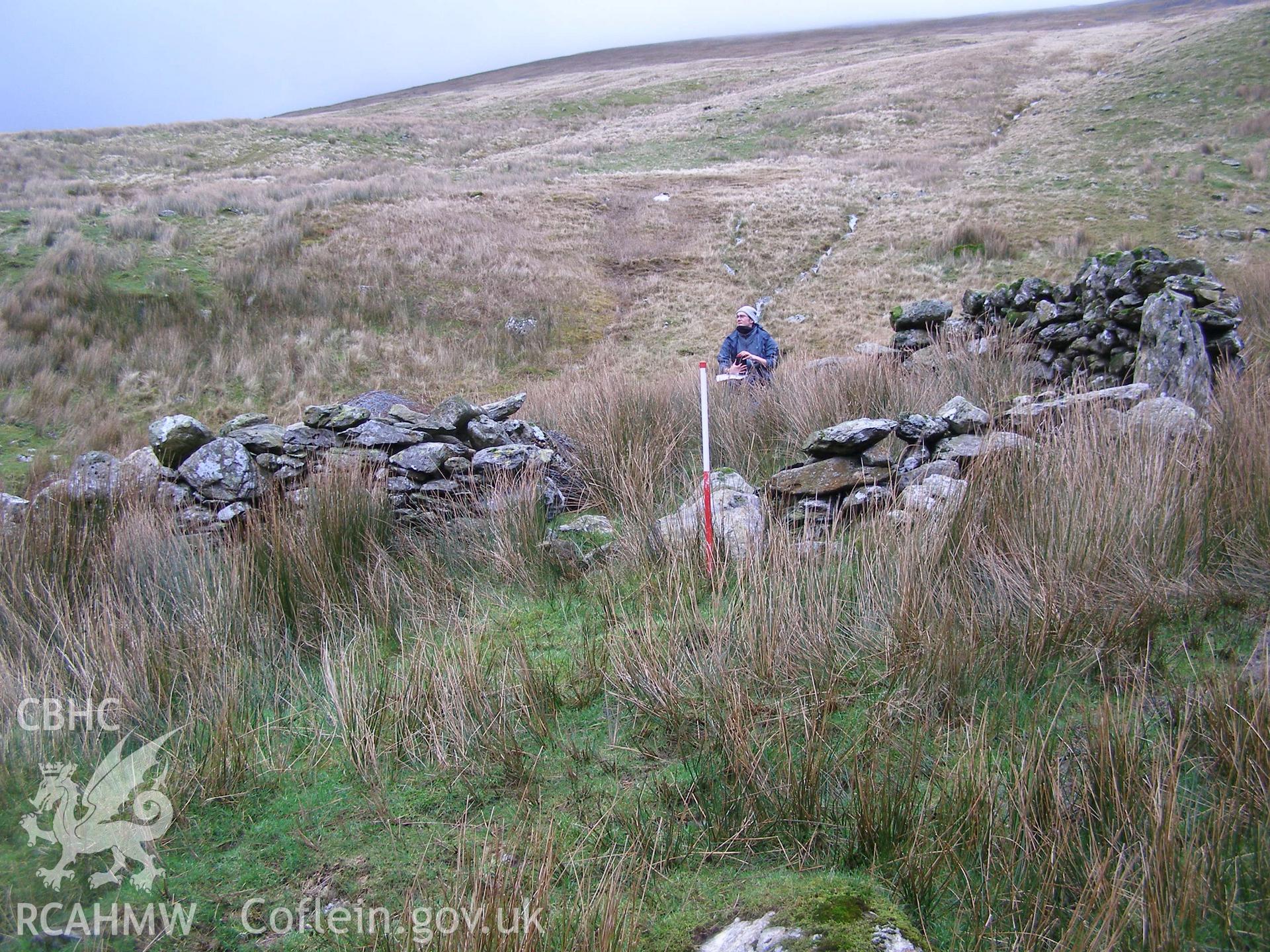Digital colour photograph of Afon Gafr sheep fold II taken on 21/01/2008 by P.J. Schofield during the Snowdonia Bethesda Upland Survey undertaken by Oxford Archaeology North.