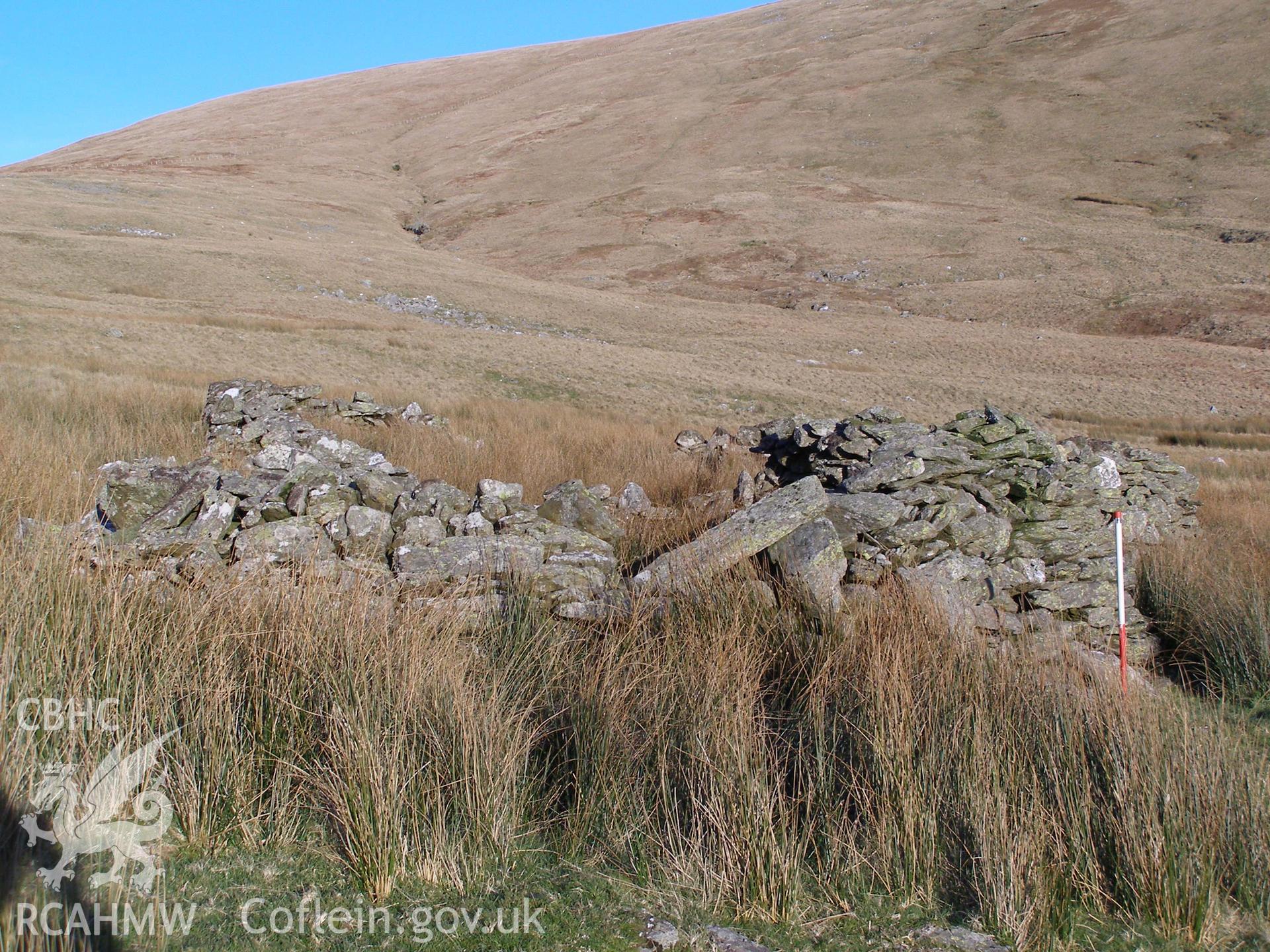 Digital colour photograph of Cwm Gafr sheep fold V taken on 20/12/2007 by P.J. Schofield during the Snowdonia Bethesda Upland Survey undertaken by Oxford Archaeology North.