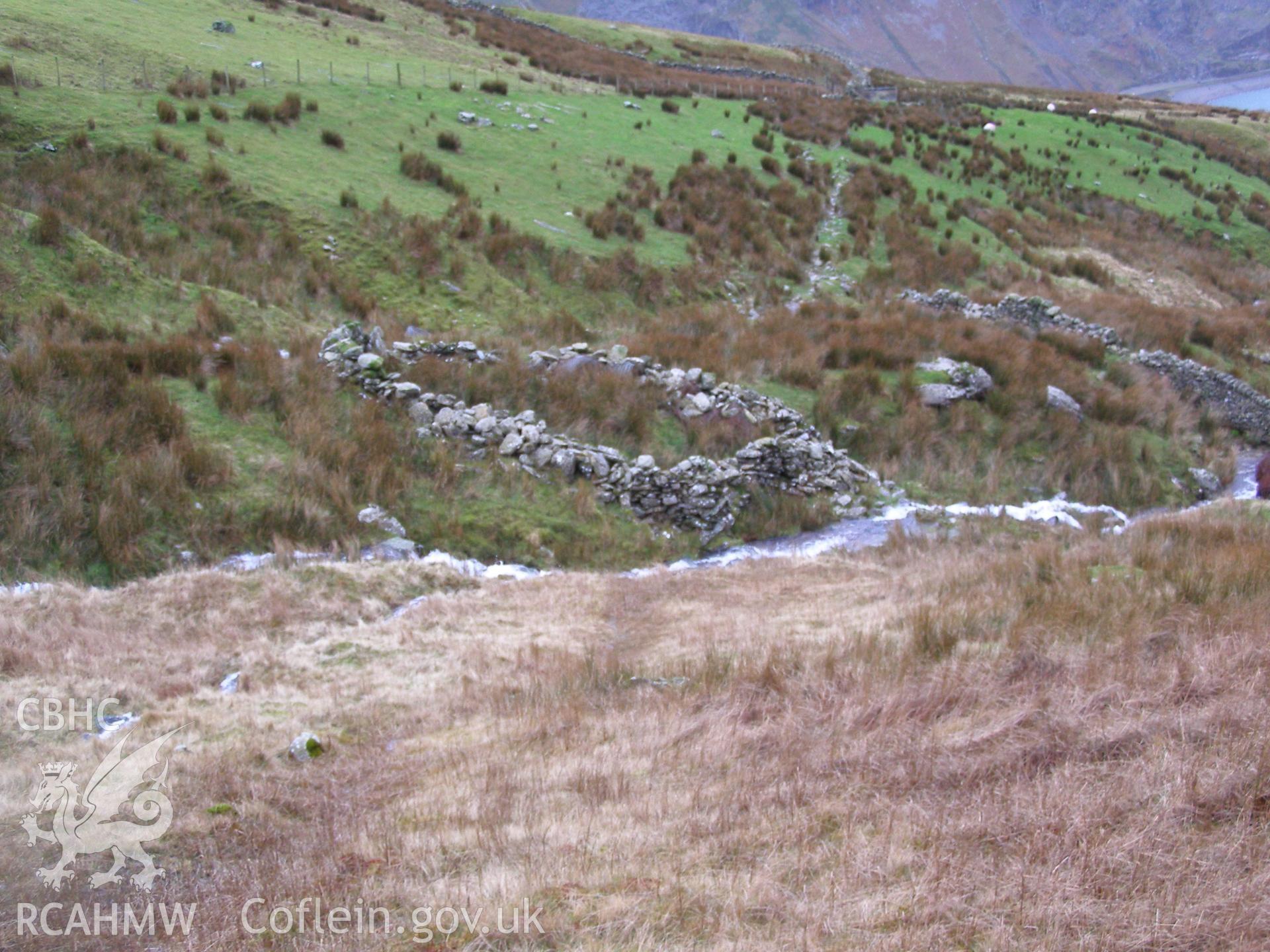 Digital colour photograph of Afon Gafr sheep fold II taken on 21/01/2008 by P.J. Schofield during the Snowdonia Bethesda Upland Survey undertaken by Oxford Archaeology North.