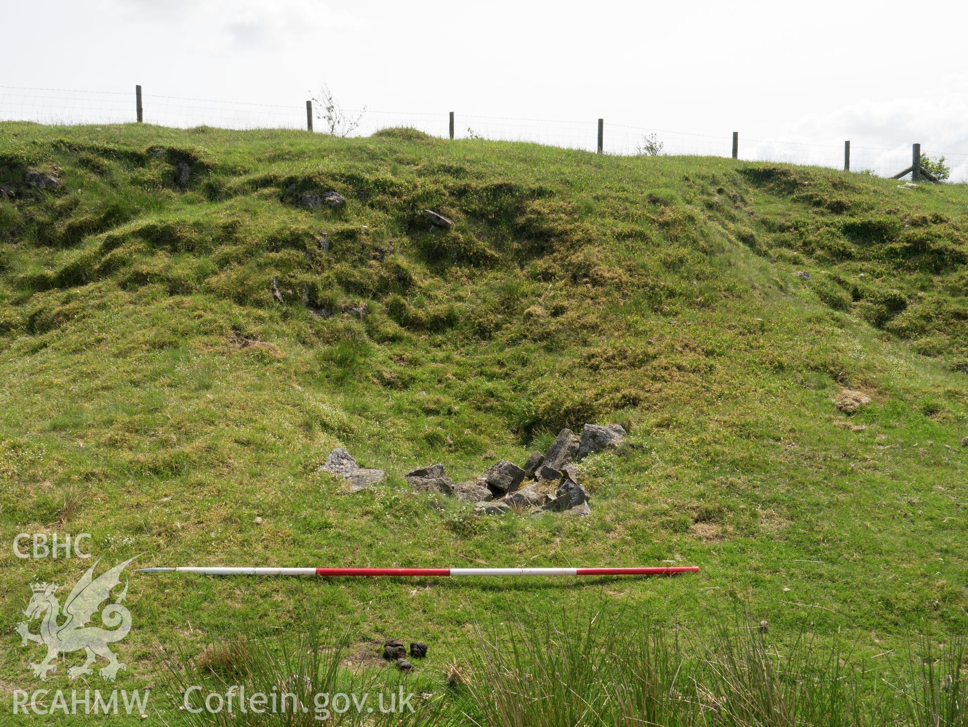 view looking S of large pit.