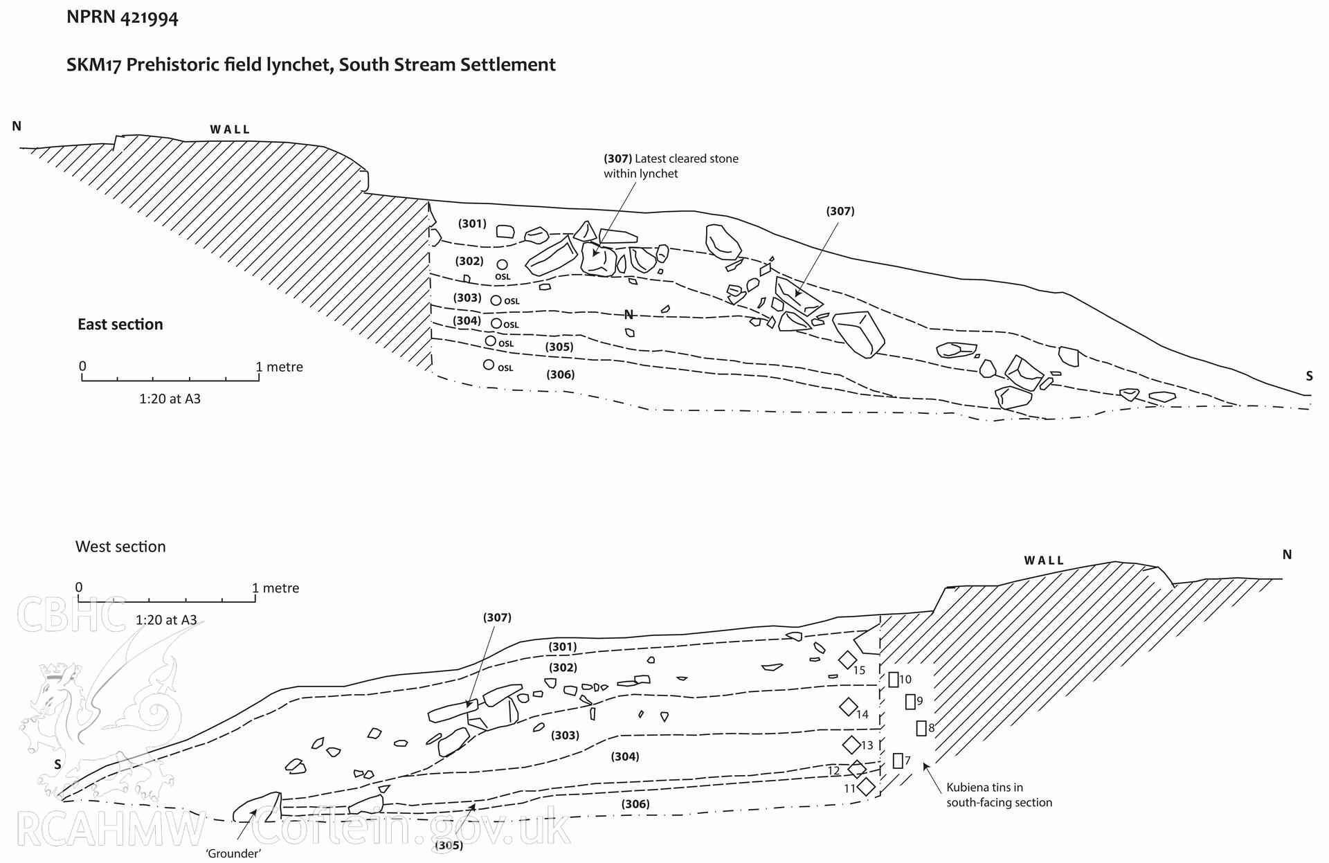 Figure 12 (.tif version) from "Skomer Island: The Excavation and luminescence dating of a Bronxe Age, Iron Age and Medieval field lynchet associated with the South Stream settlement" April 2017 produced by Barker, Davis, Driver, Johnston and Duller.