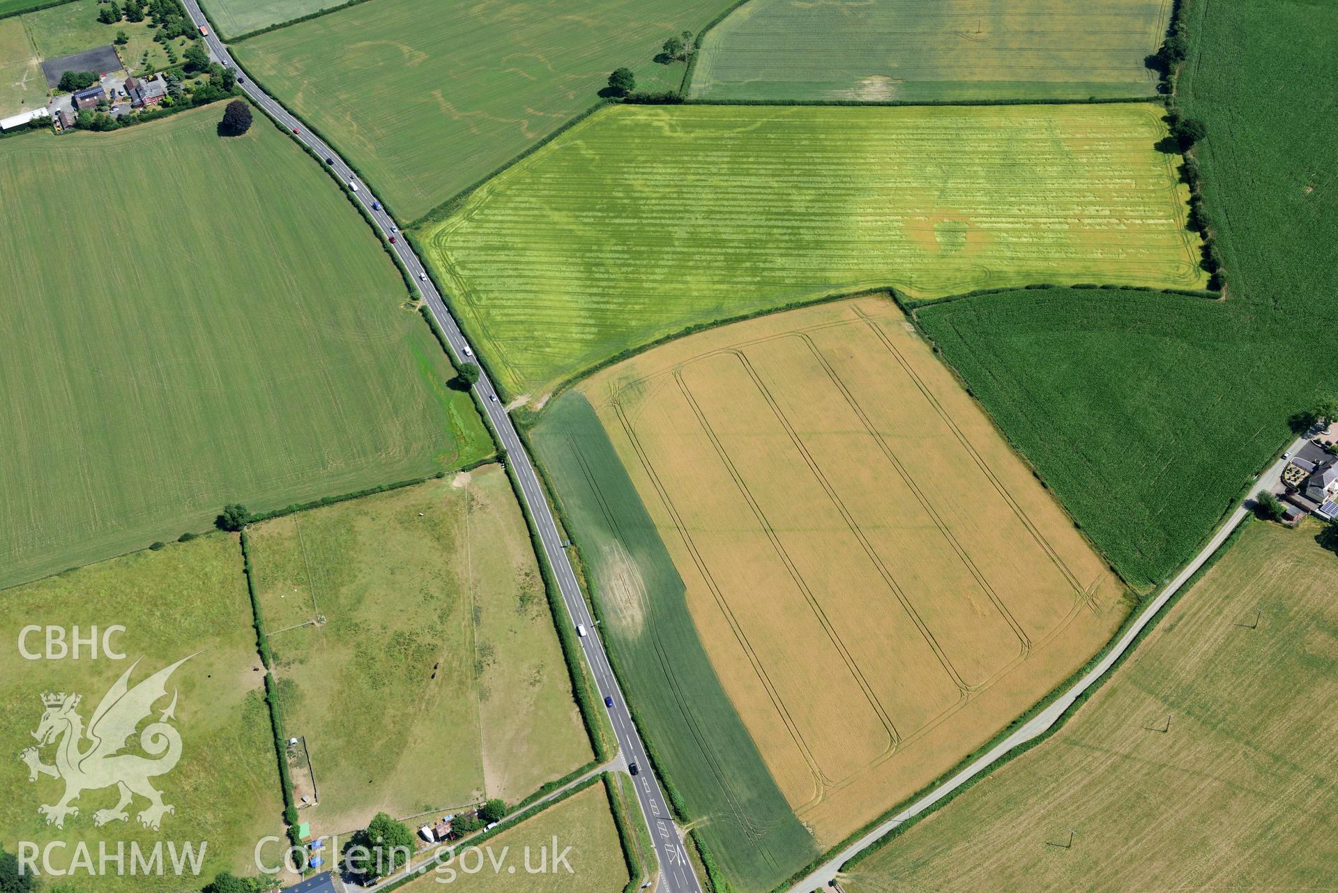 Royal Commission aerial photography of cropmarks of Lower Luggy Cursus taken on 19th July 2018 during the 2018 drought.