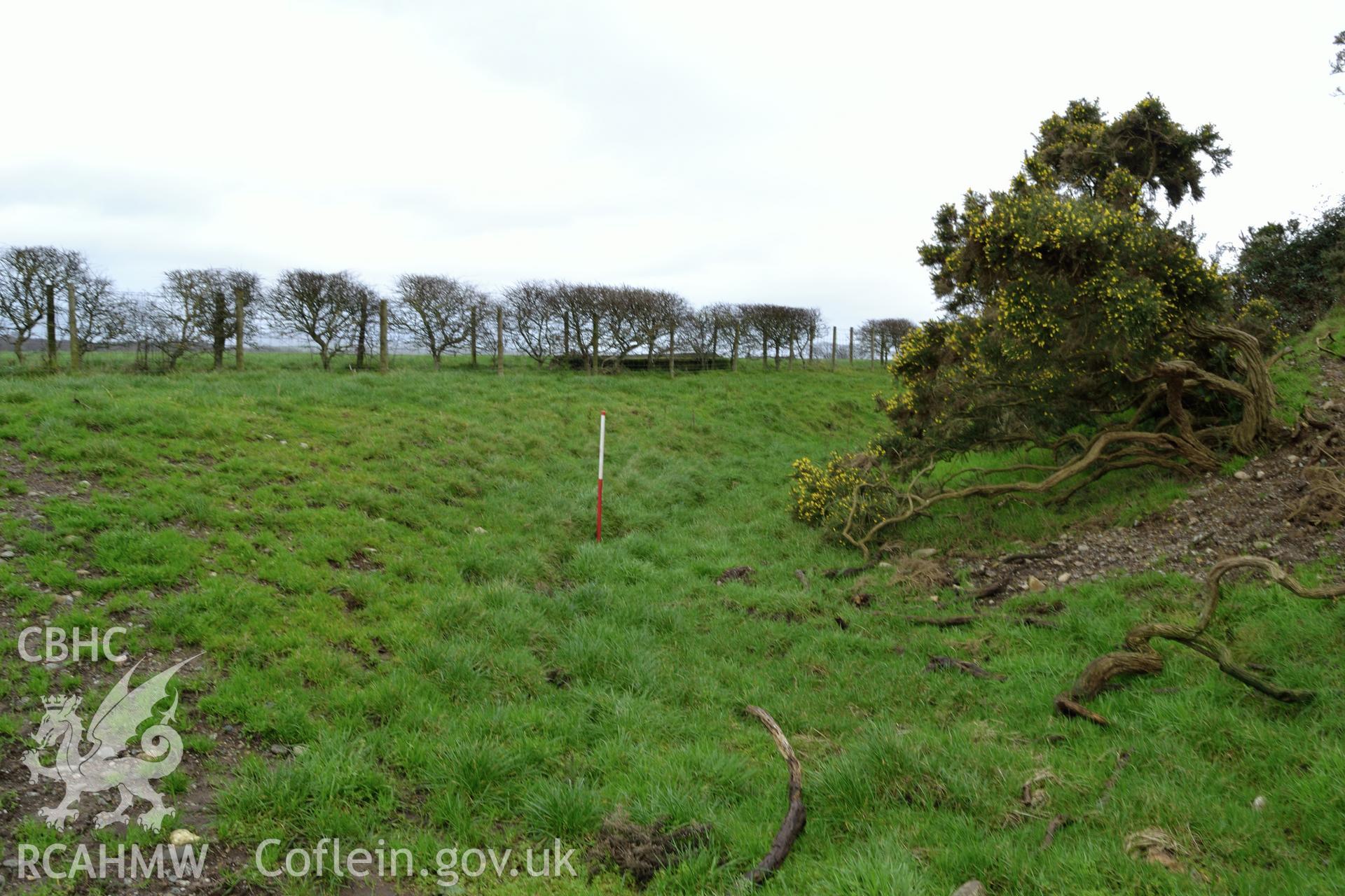 Remnants of Tomen Fawr ditch at north side. Photographed by Gwynedd Archaeological Trust during impact assessment of the site on 20th December 2018. Project no. G2564.