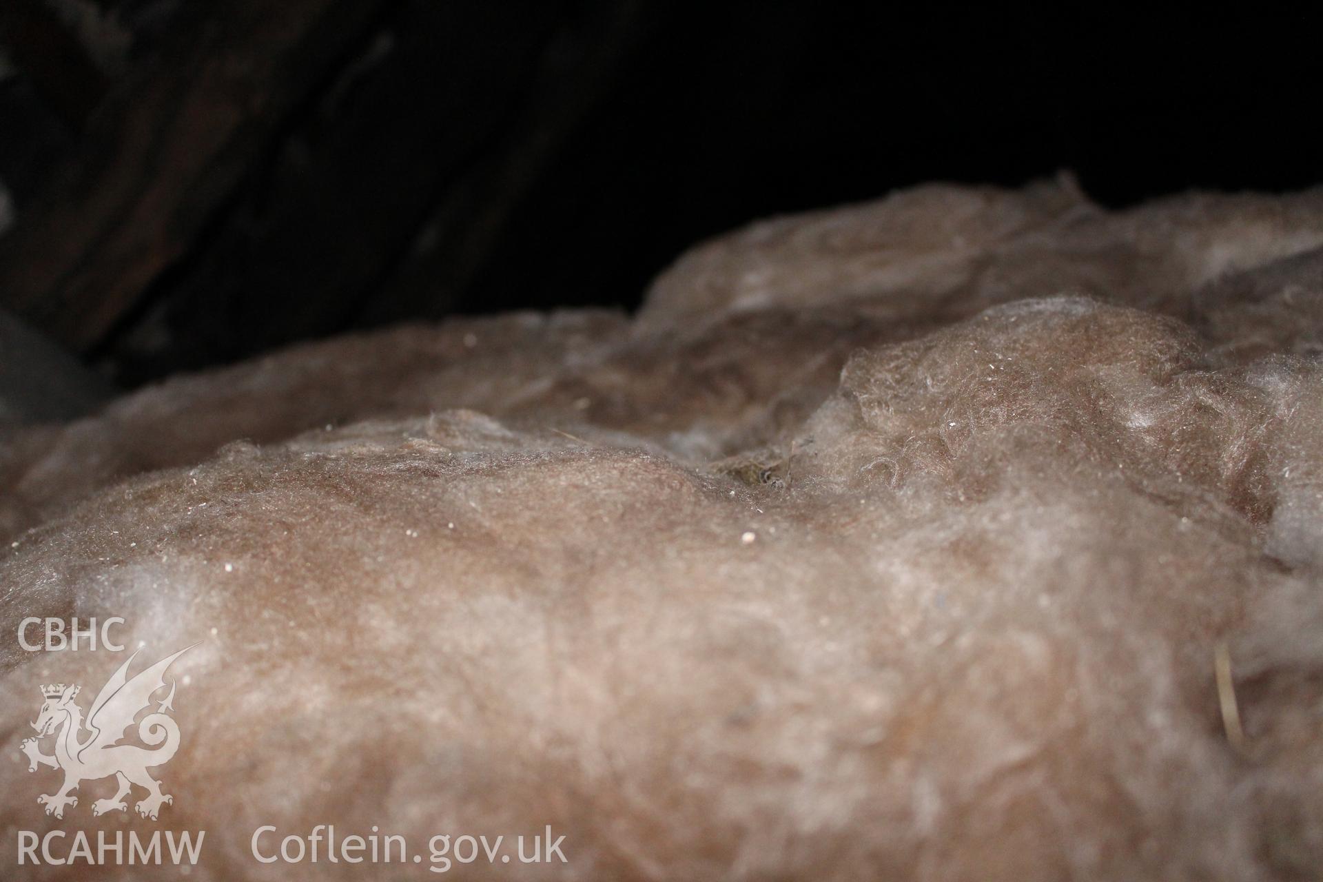Colour photograph showing detail of insulating wool at 5-7 Mwrog Street, Ruthin. Photographed during survey conducted by Geoff Ward on 14th May 2014.