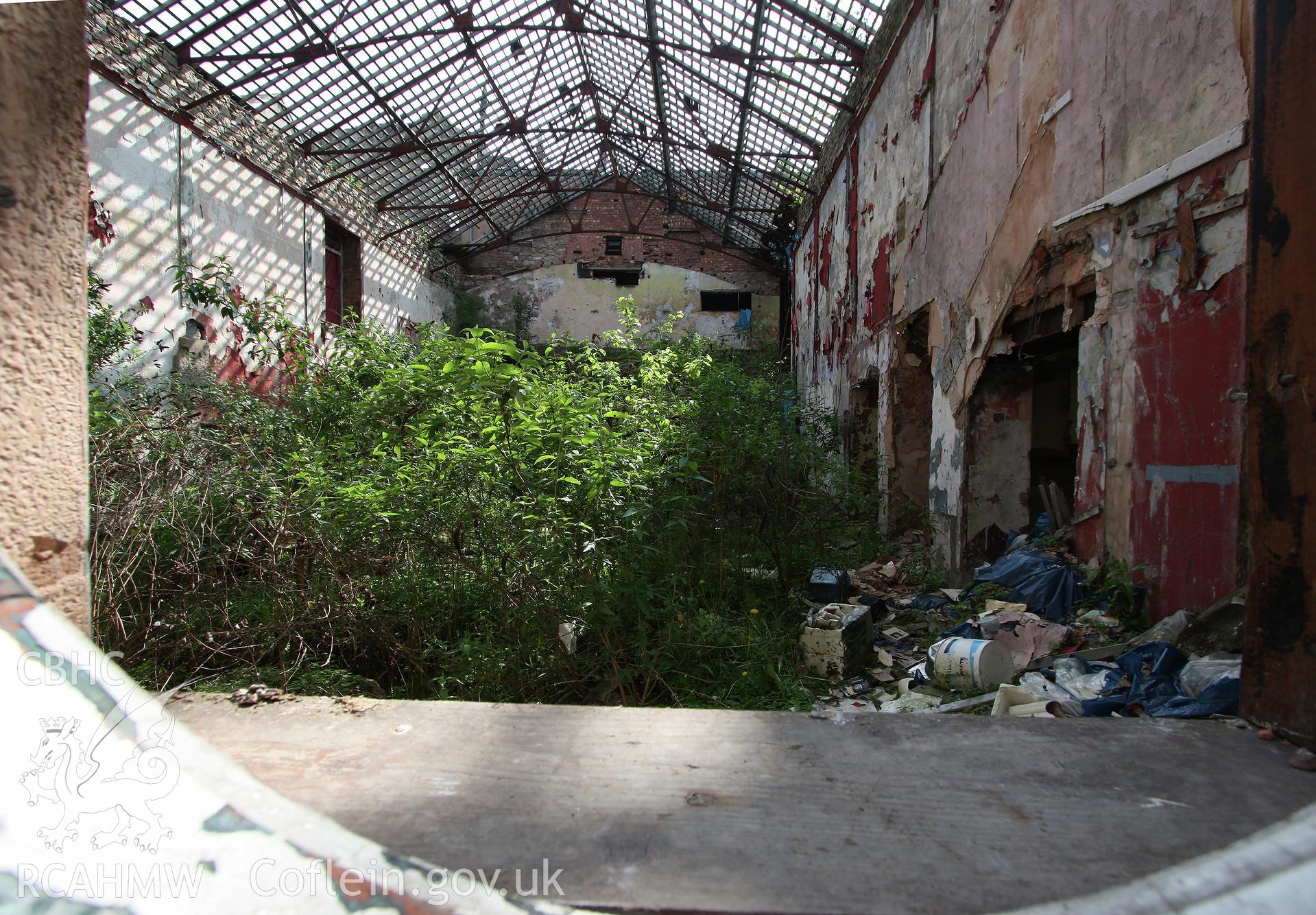 Digital colour photograph showing overgrown interior of the former Scala Cinema on Love Lane, Denbigh. Photographic survey conducted by Sue Fielding on 20th July 2010.